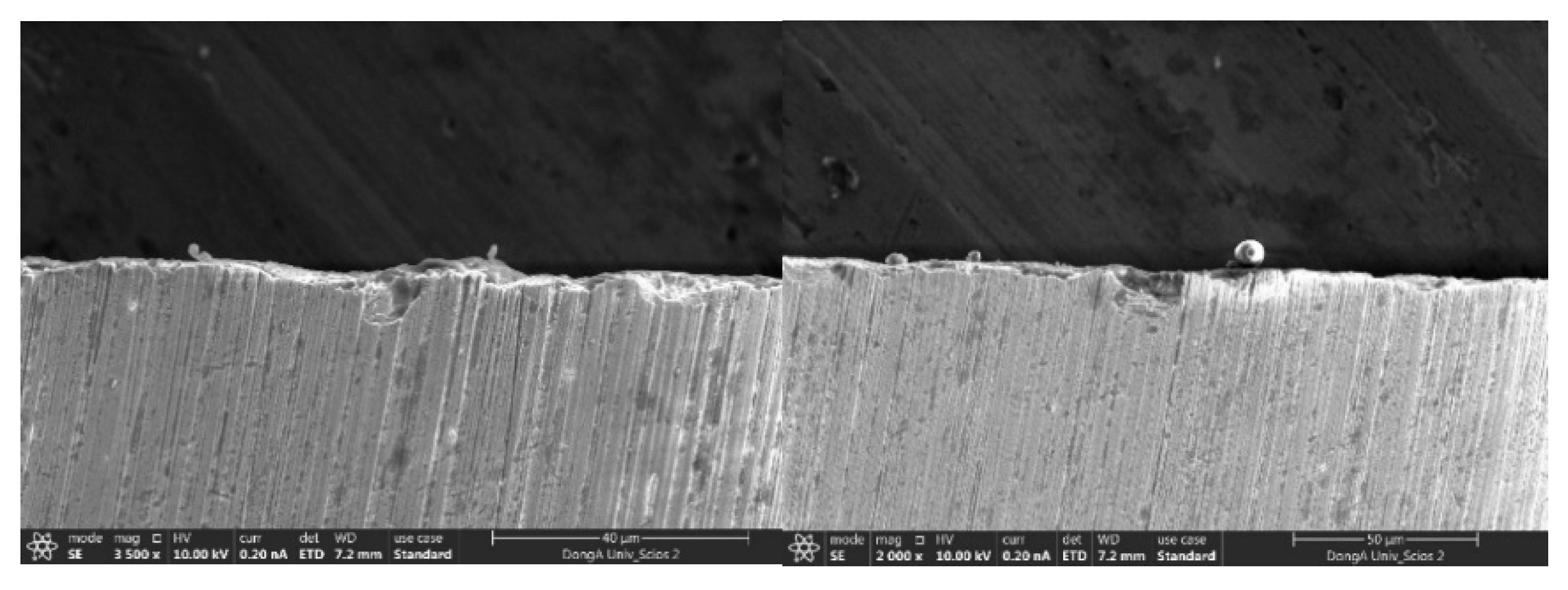 Lubricants 11 00297 g001