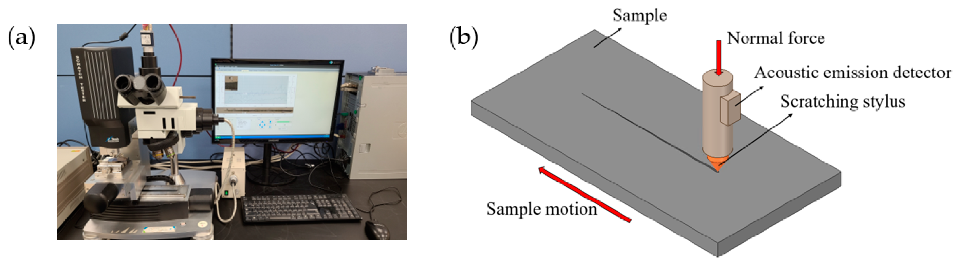 Lubricants 11 00297 g004
