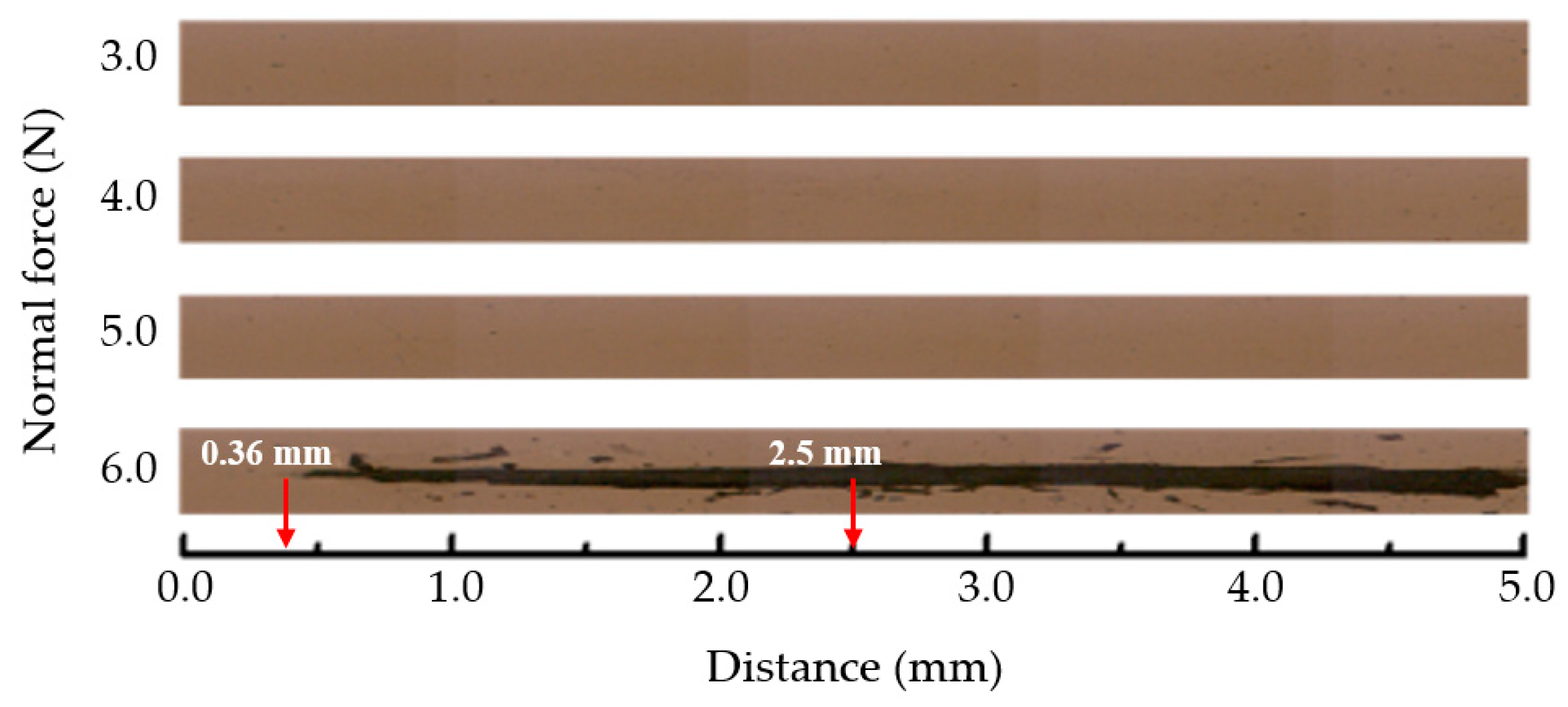 Lubricants 11 00297 g007