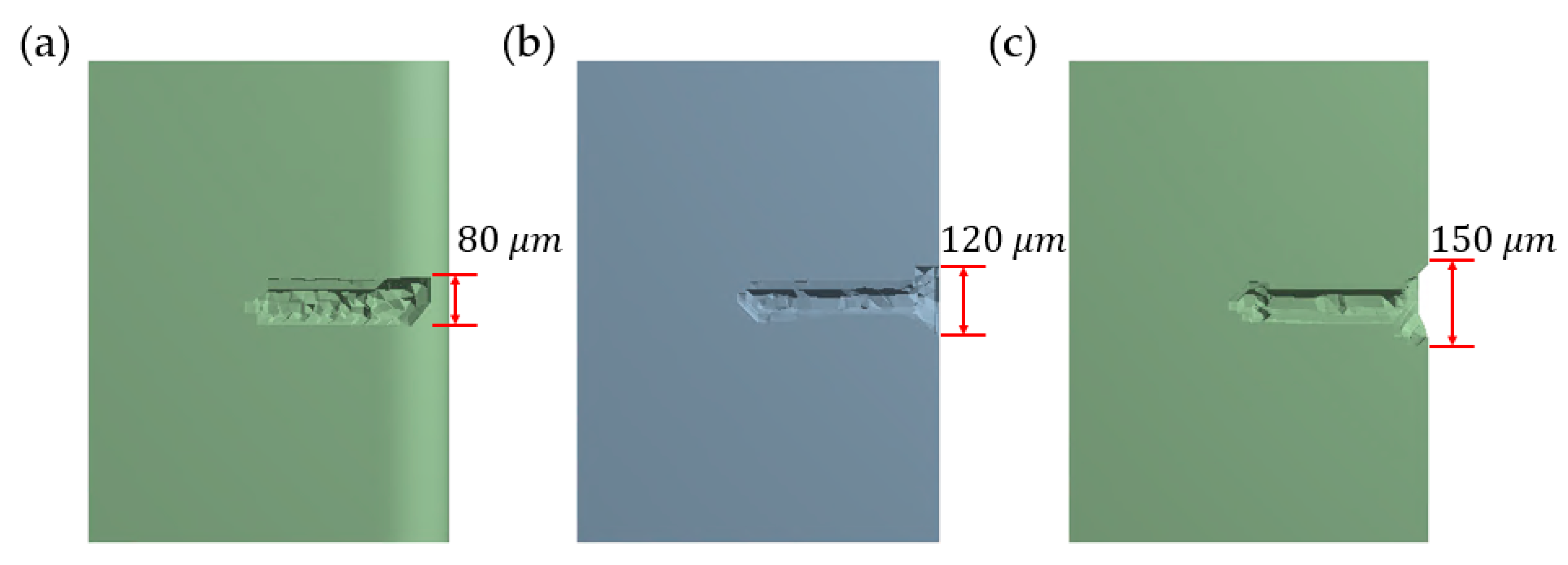 Lubricants 11 00297 g012