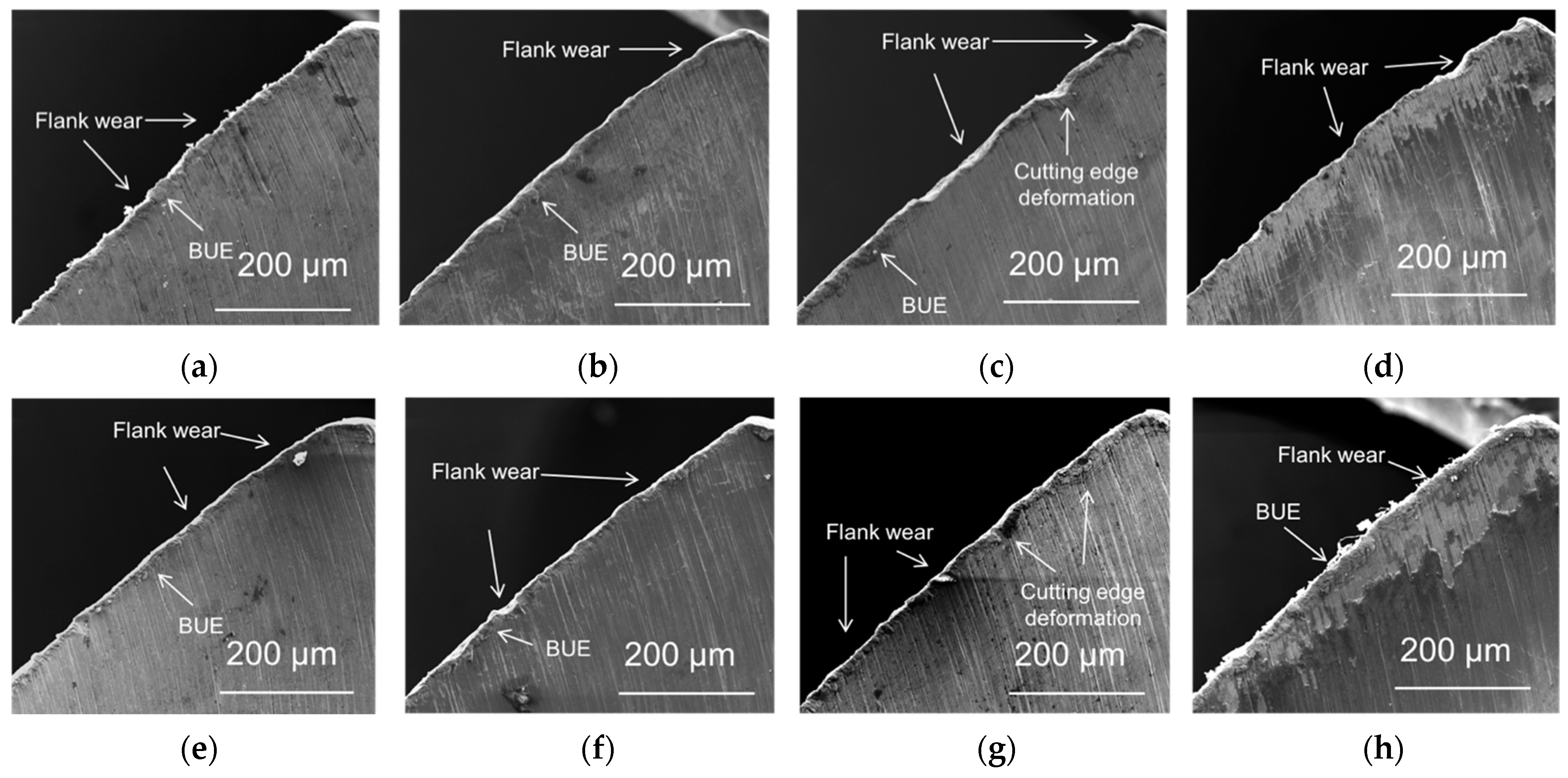 Lubricants 11 00301 g004 Lubricants 11 00301 g004