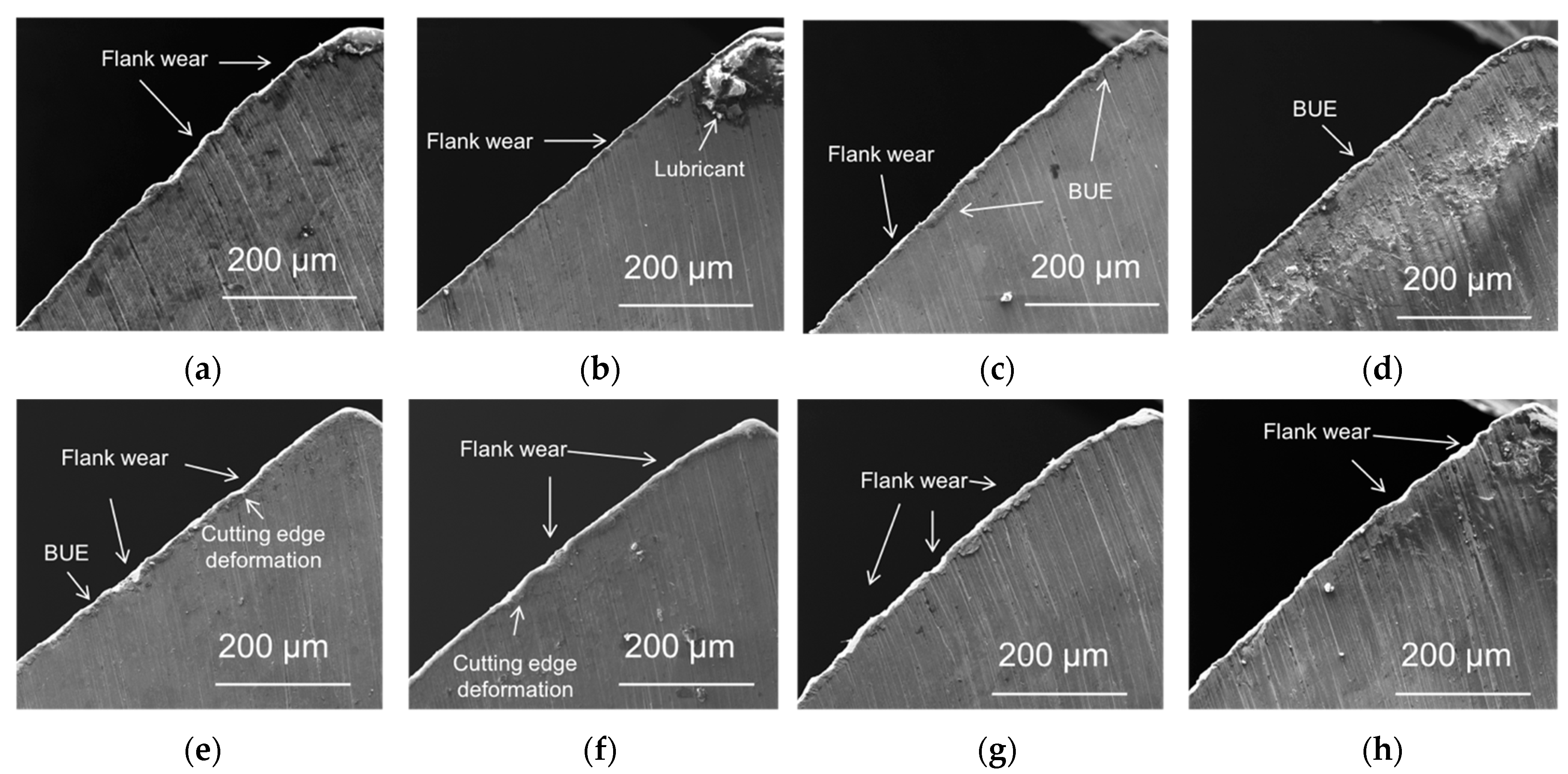 Lubricants 11 00301 g005 Lubricants 11 00301 g005