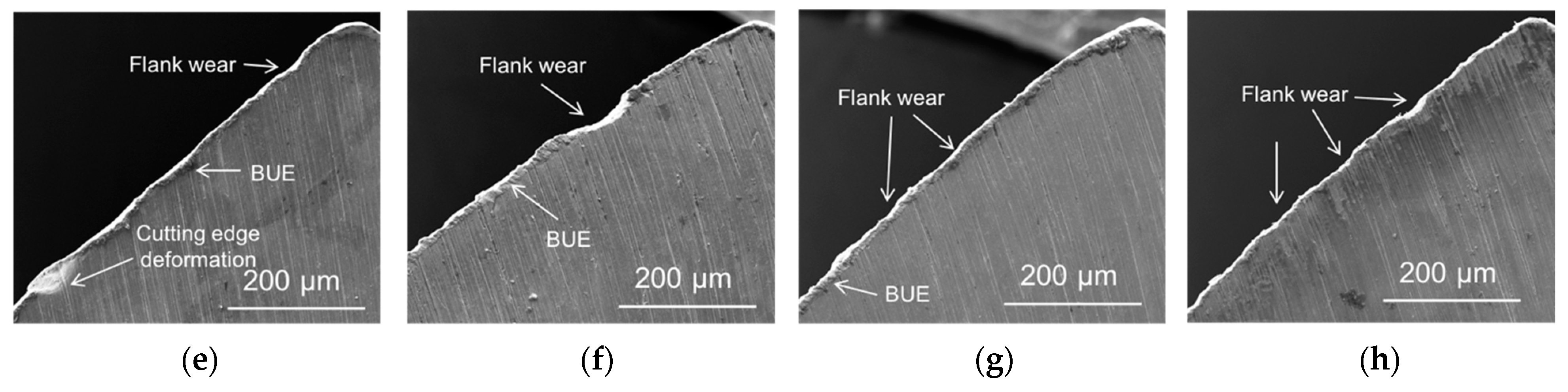 Lubricants 11 00301 g006b Lubricants 11 00301 g006b