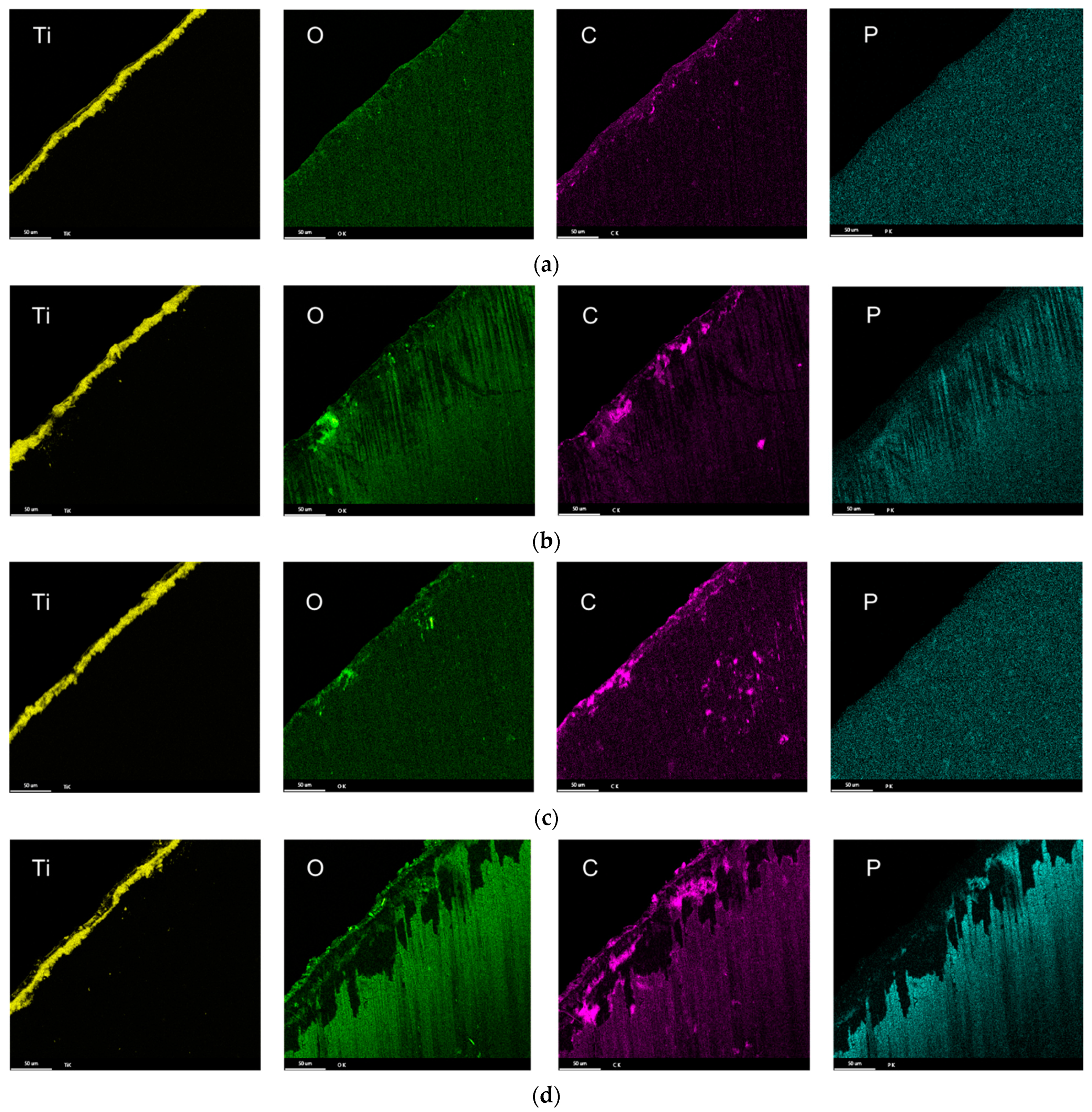 Lubricants 11 00301 g009 Lubricants 11 00301 g009
