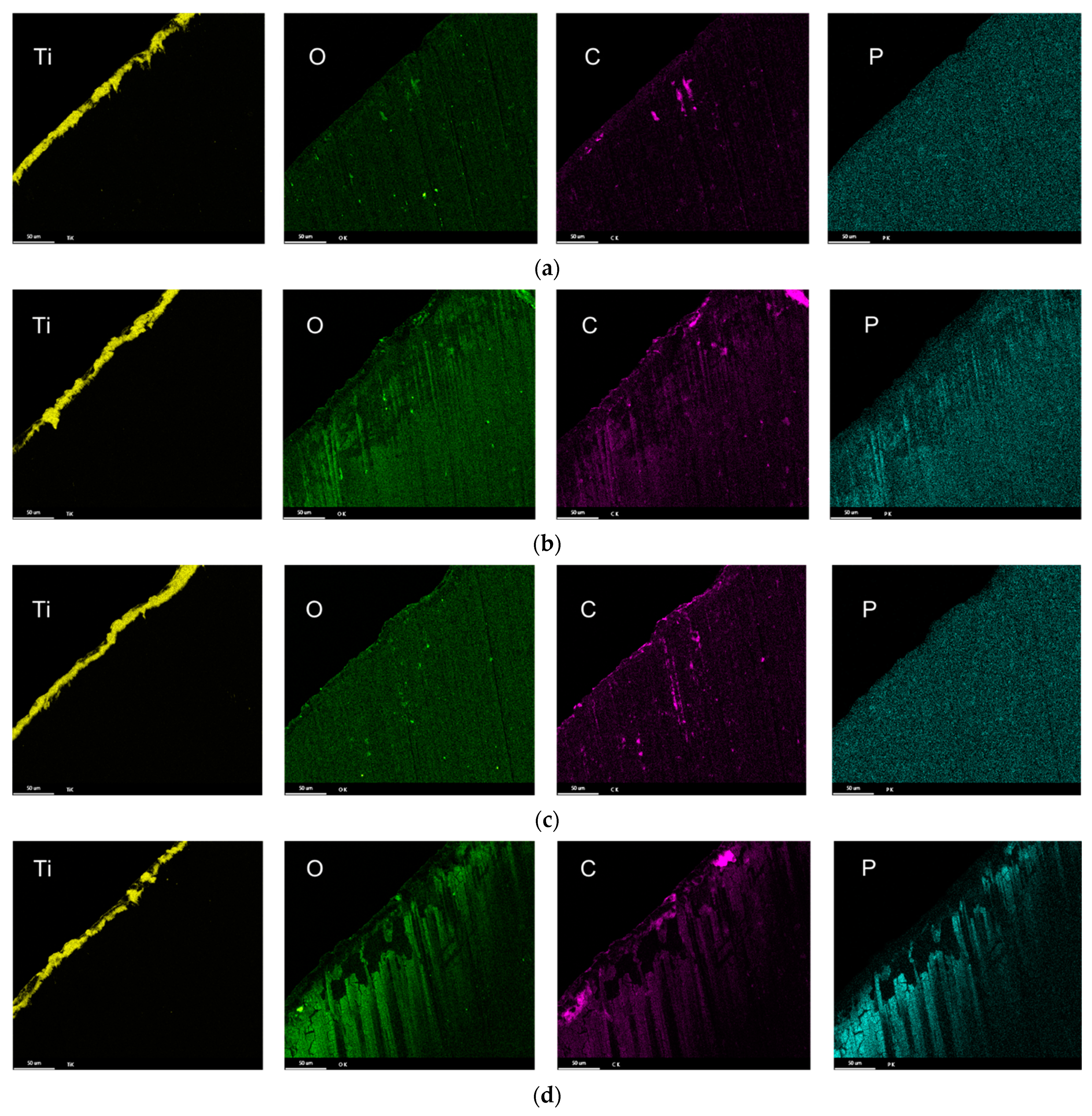 Lubricants 11 00301 g011 Lubricants 11 00301 g011