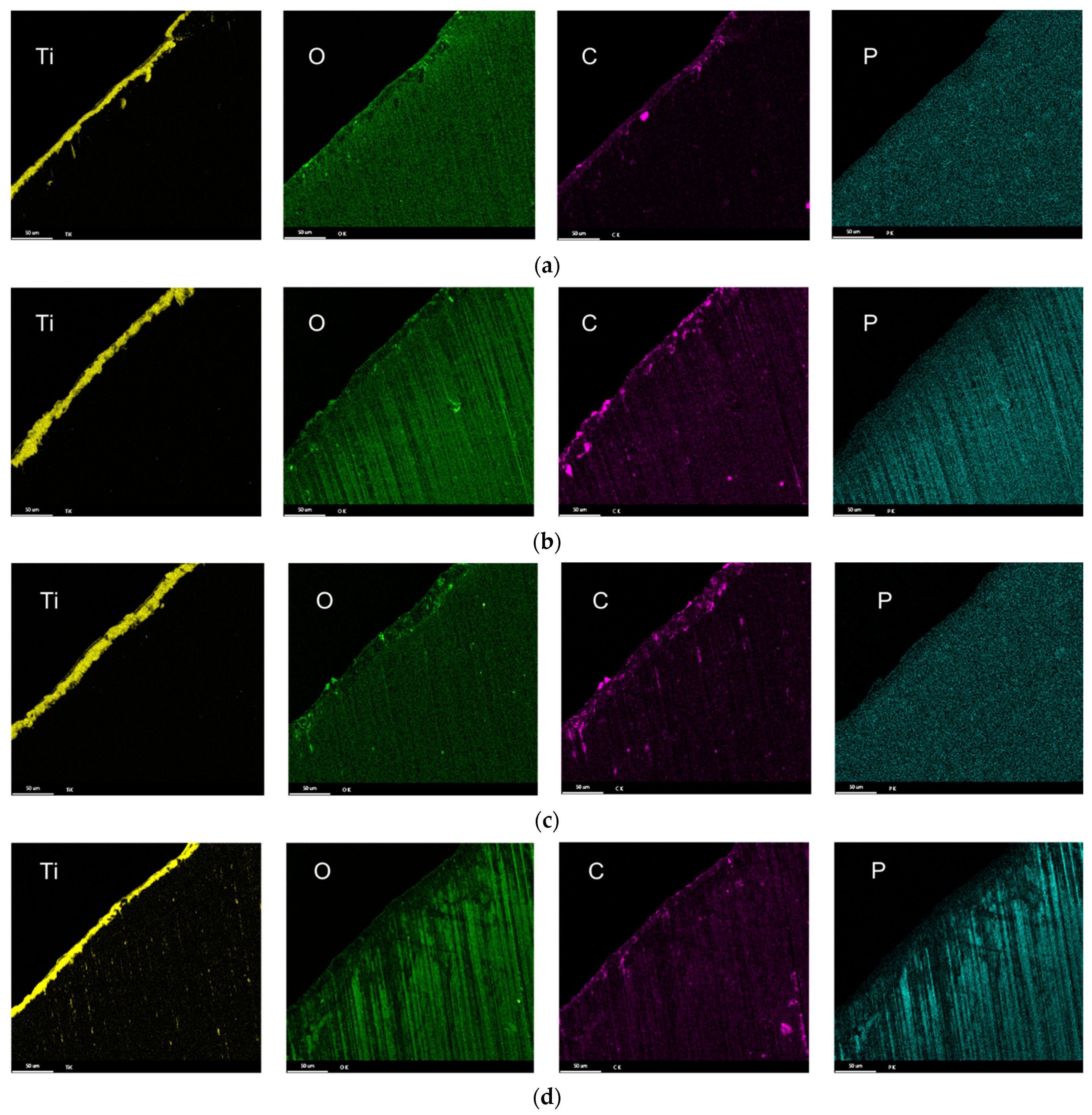 Lubricants 11 00301 g013 Lubricants 11 00301 g013