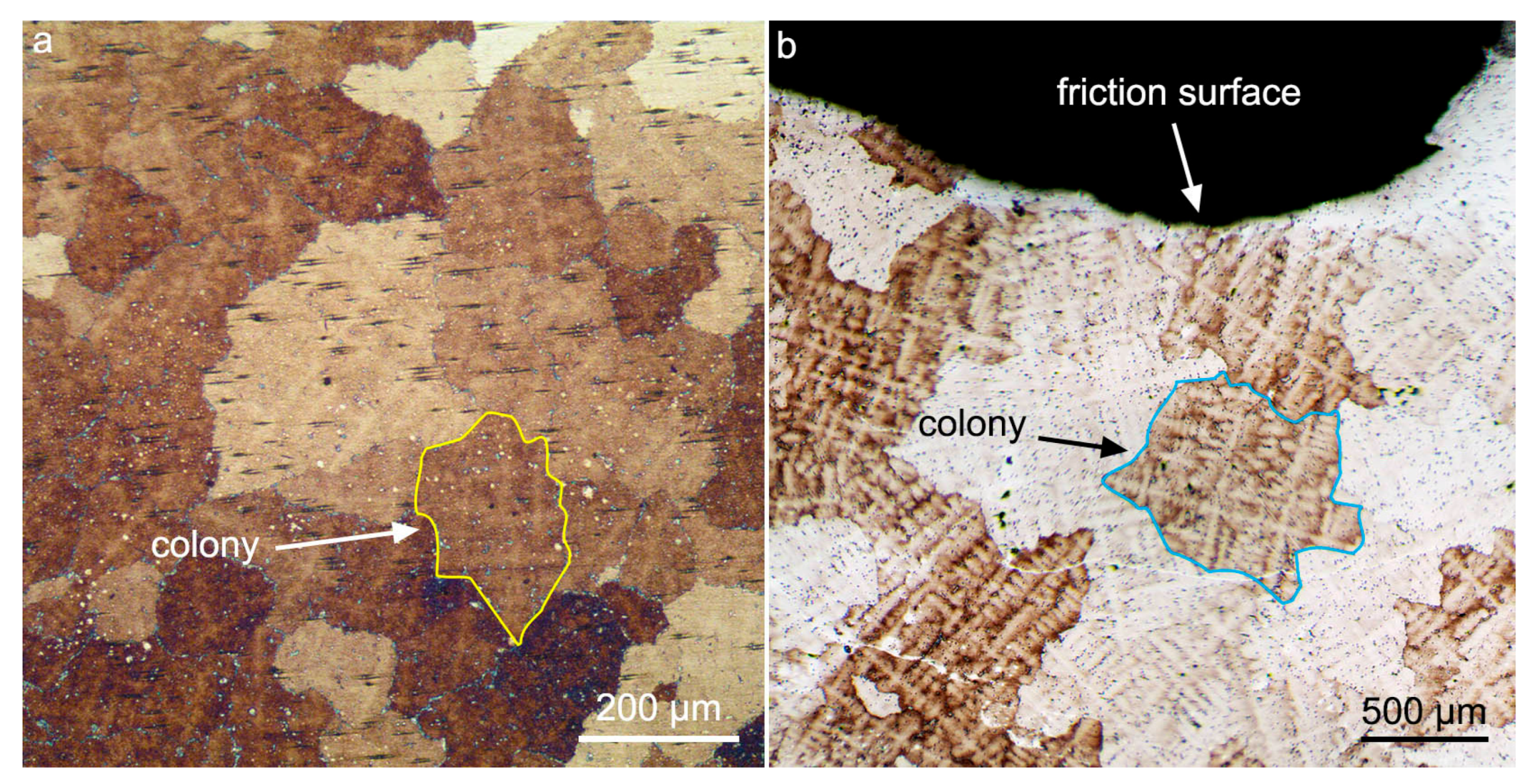 Lubricants 11 00307 g015 Lubricants 11 00307 g015