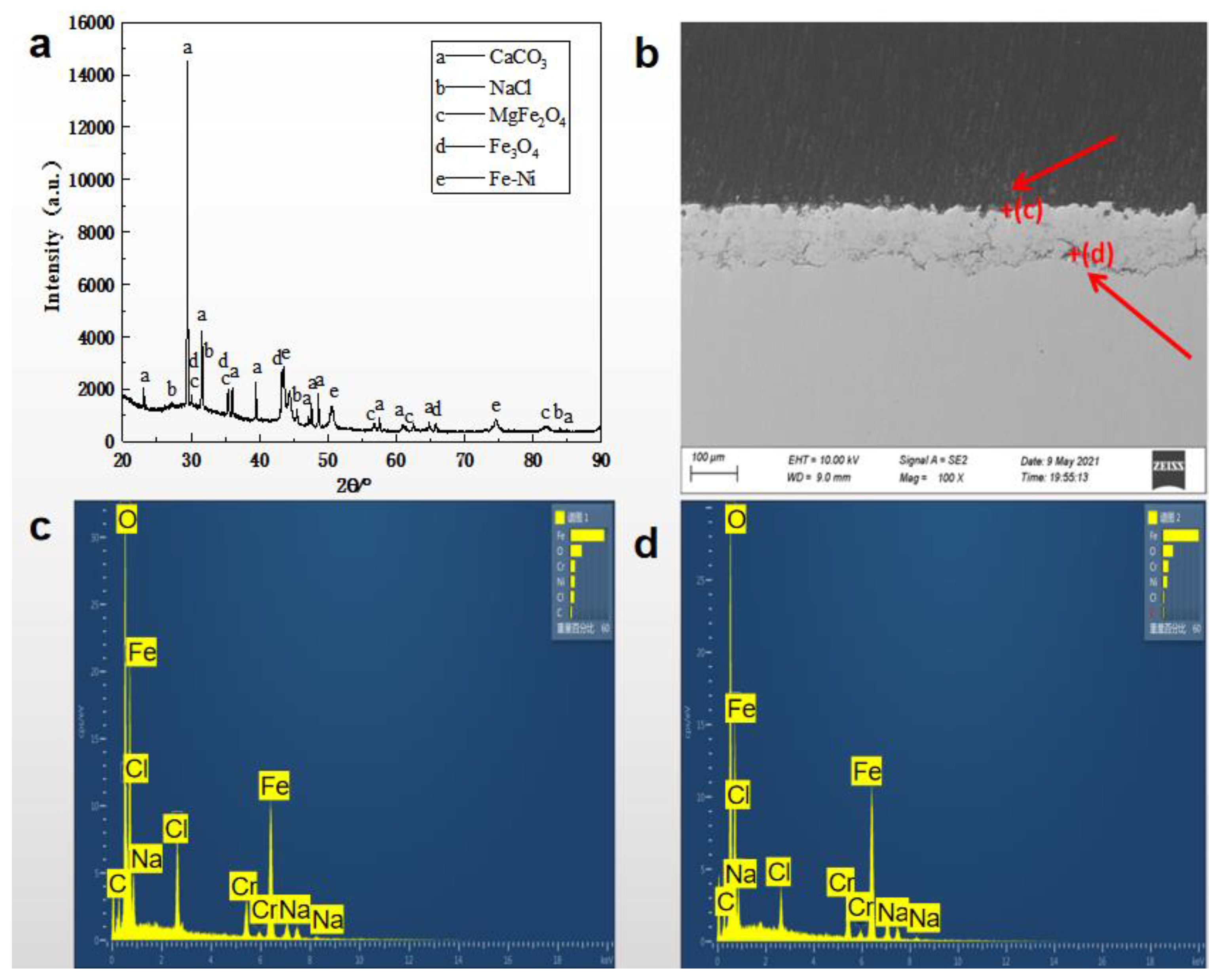 Lubricants 11 00309 g005