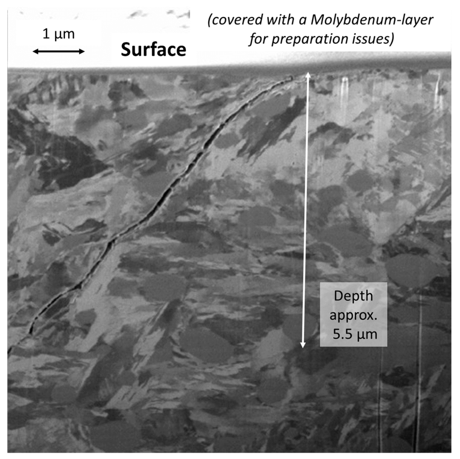 Lubricants 11 00311 g004 550