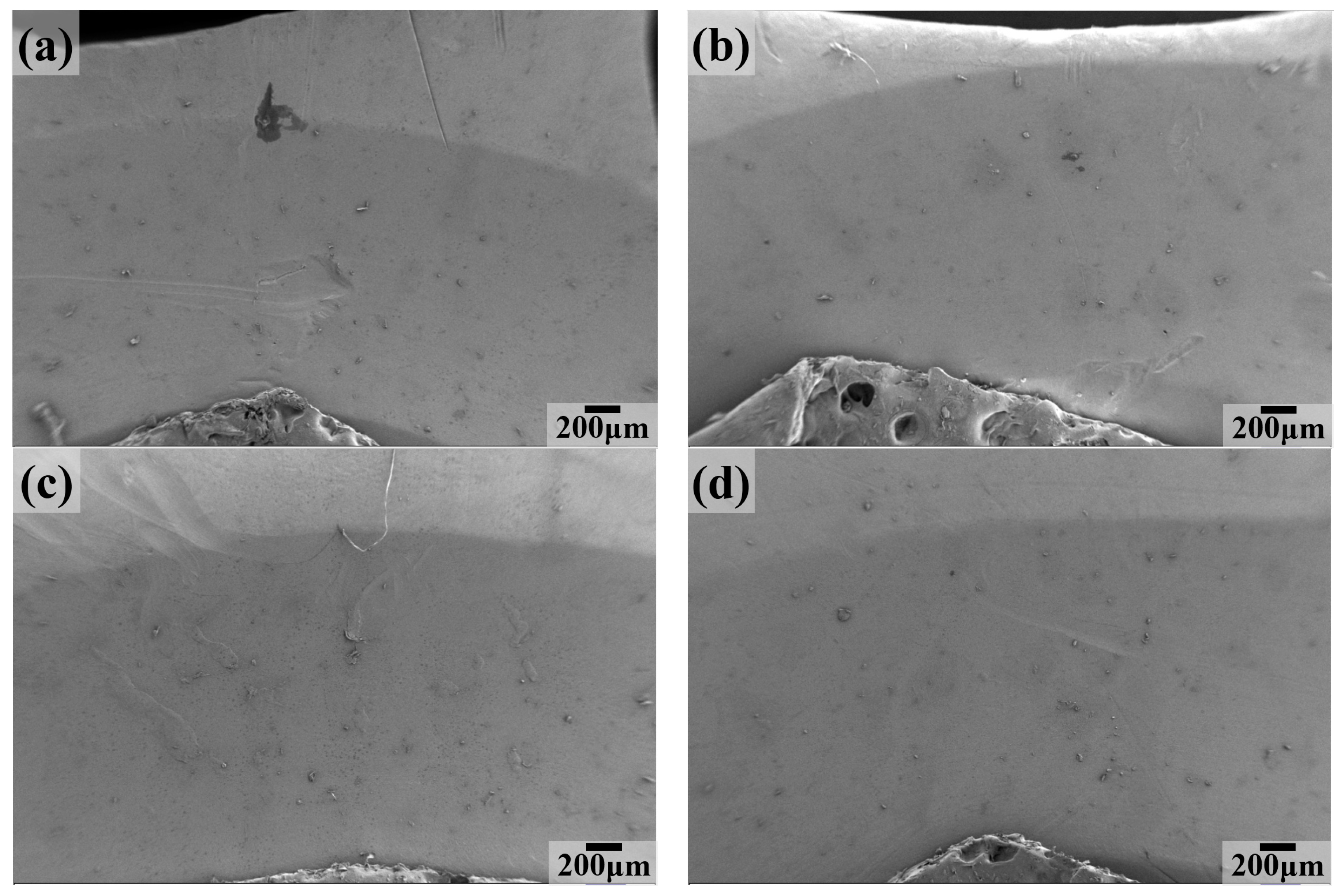 Lubricants 11 00312 g007 550