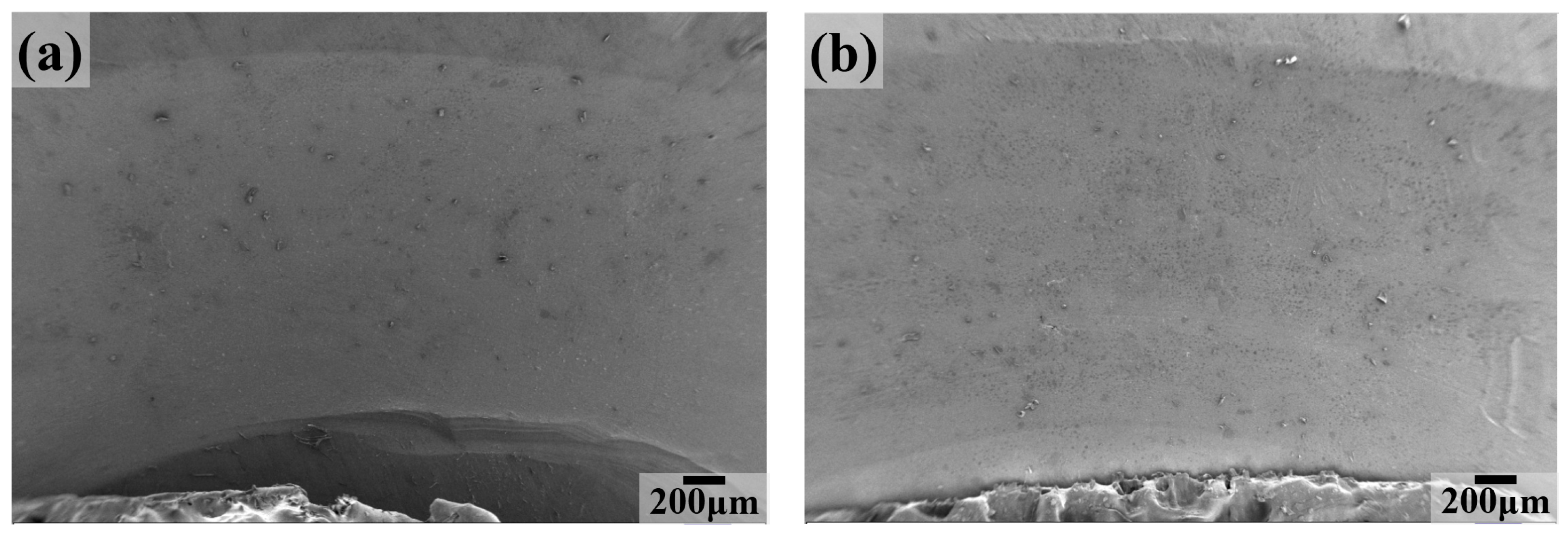 Lubricants 11 00312 g008a 550