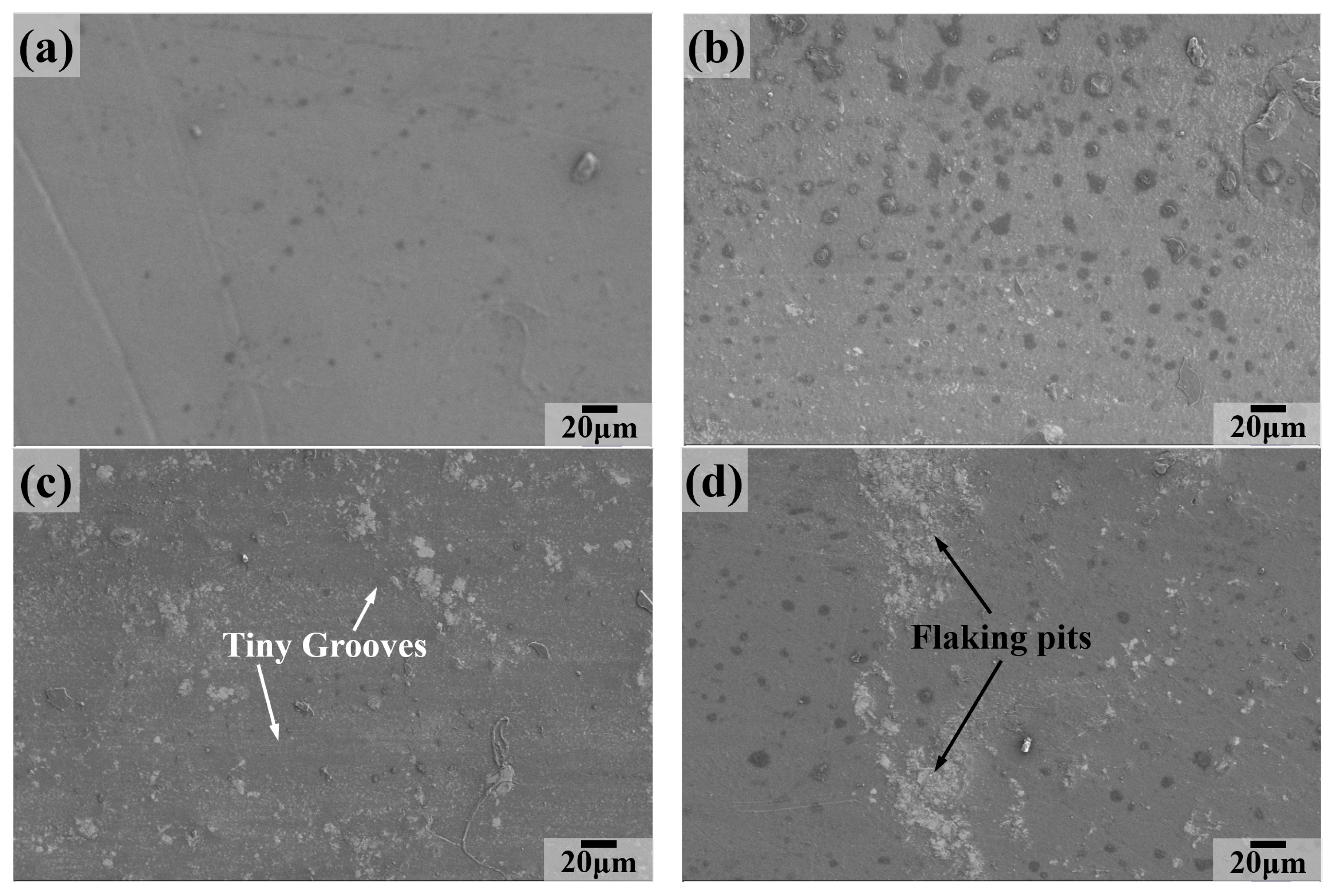 Lubricants 11 00312 g011 550