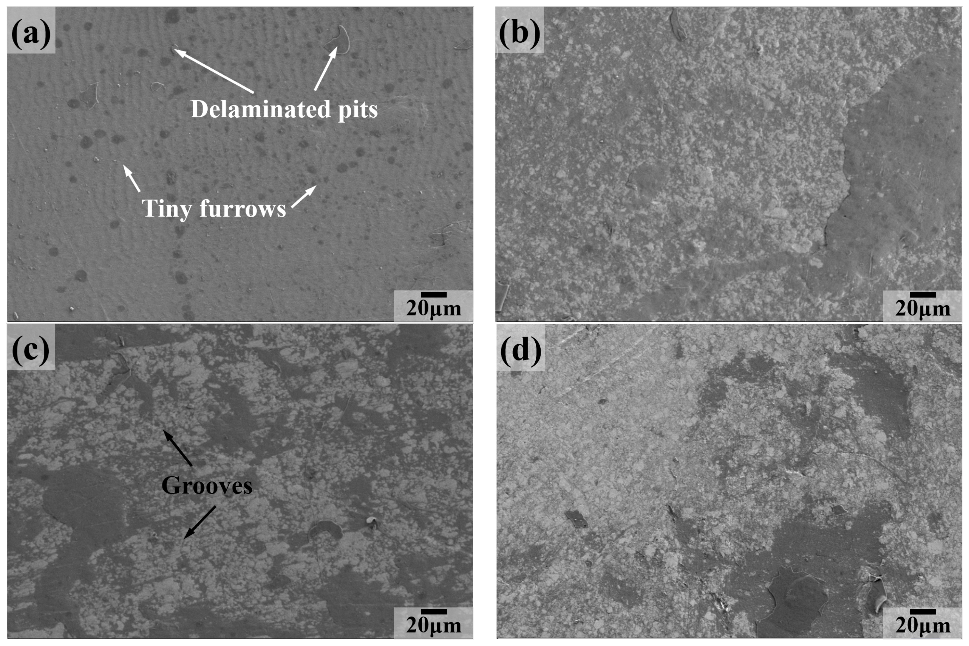 Lubricants 11 00312 g014 550