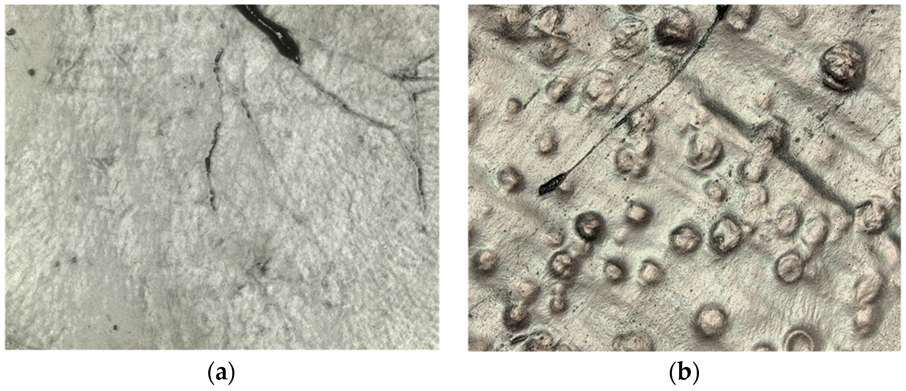 Lubricants 11 00322 g011