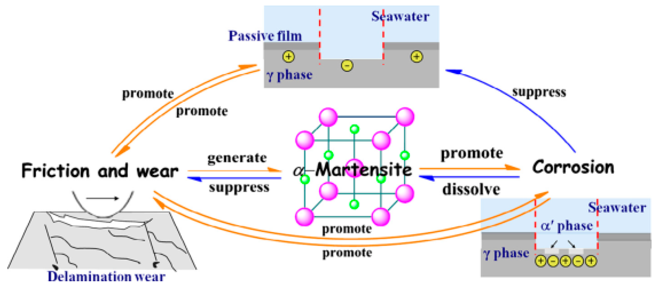 Lubricants 11 00324 g002