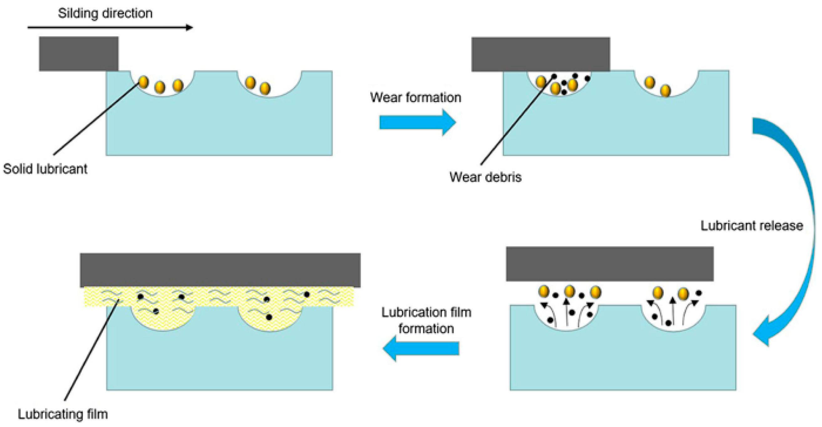 Lubricants 11 00324 g007