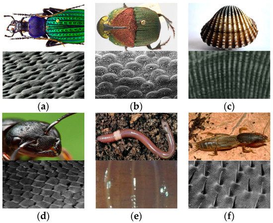 スネーク 7年放置されたスネークモータースK16 [SNAKE MOTORS OOWADA BASE