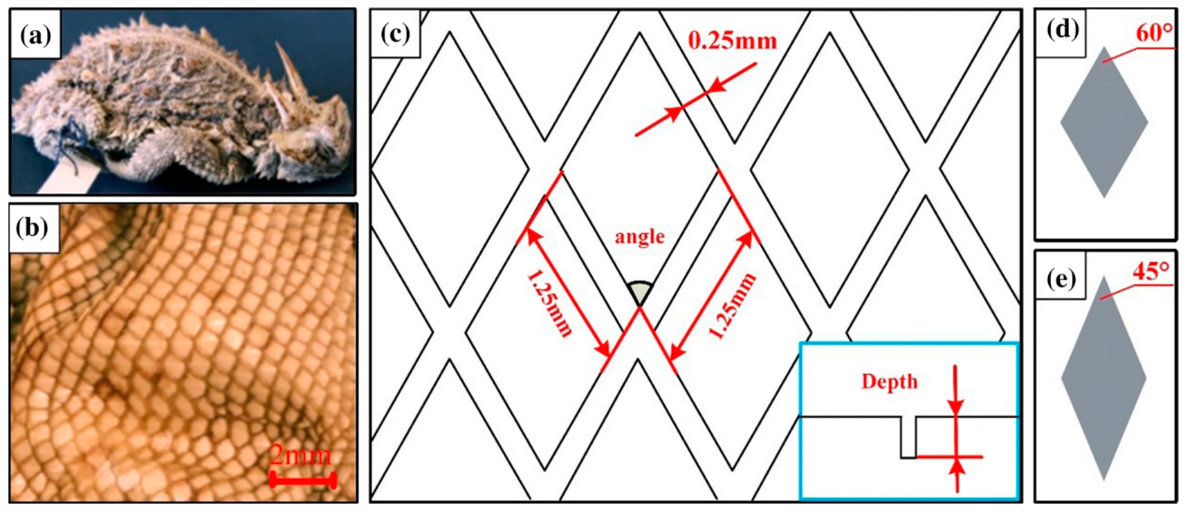 Lubricants 11 00324 g013