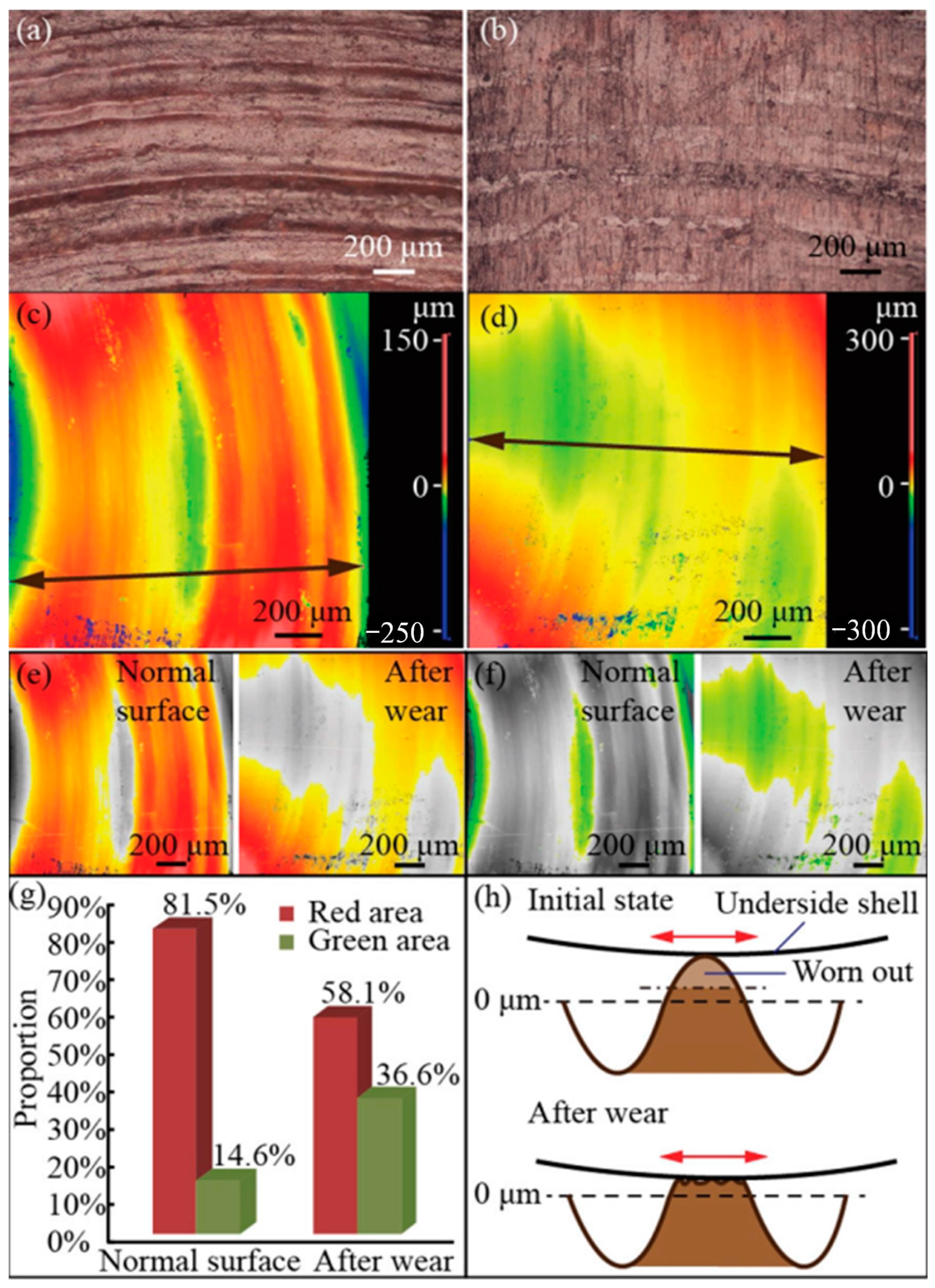 Lubricants 11 00324 g014