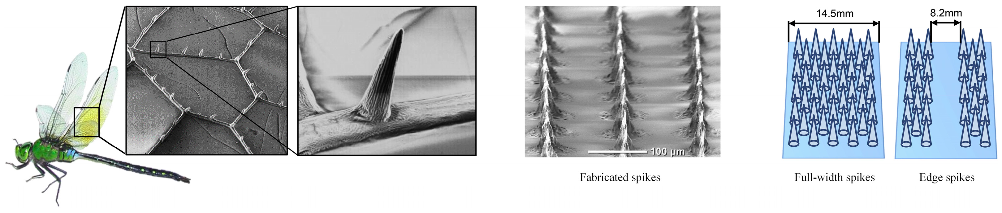 Lubricants 11 00324 g015