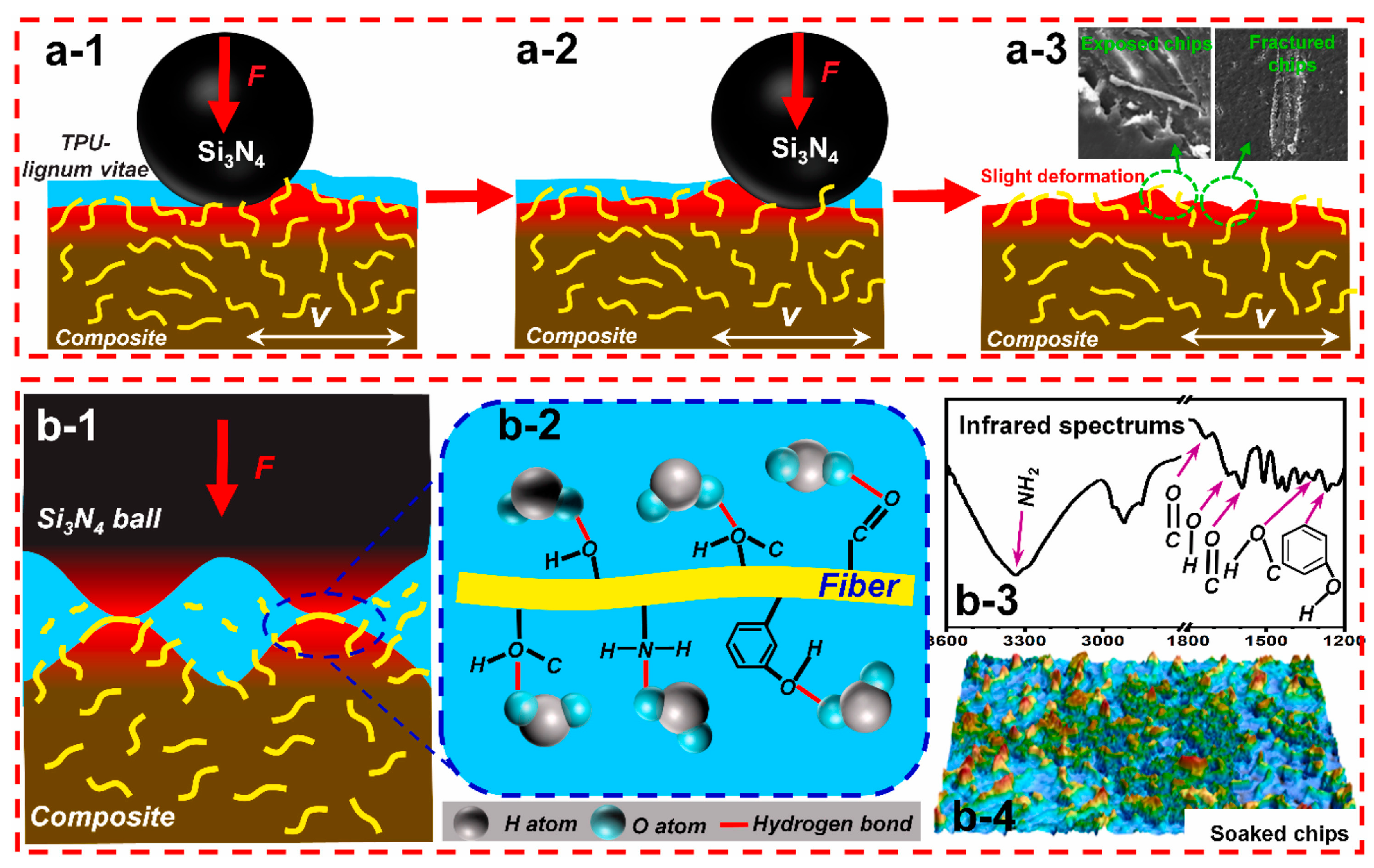 Lubricants 11 00324 g016