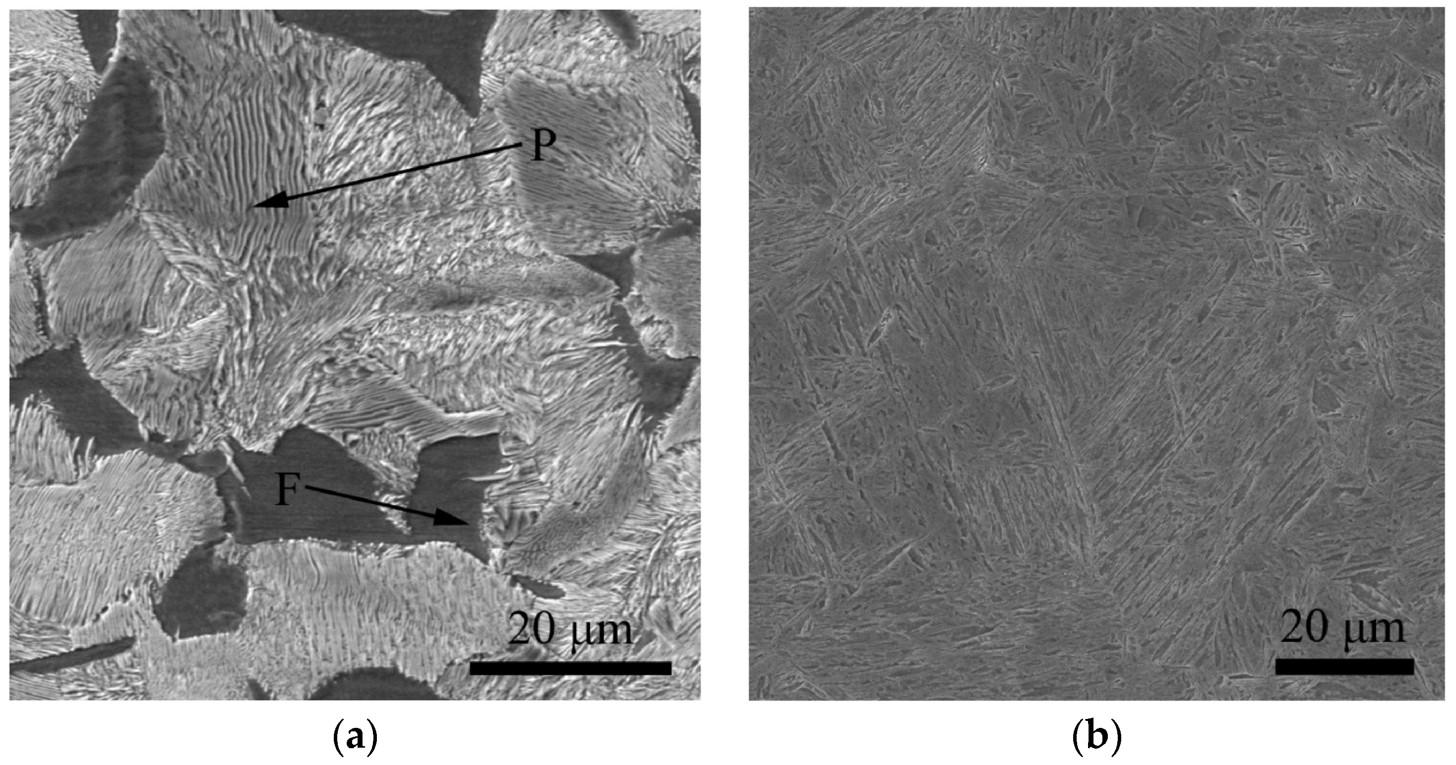 Lubricants 11 00324 g037