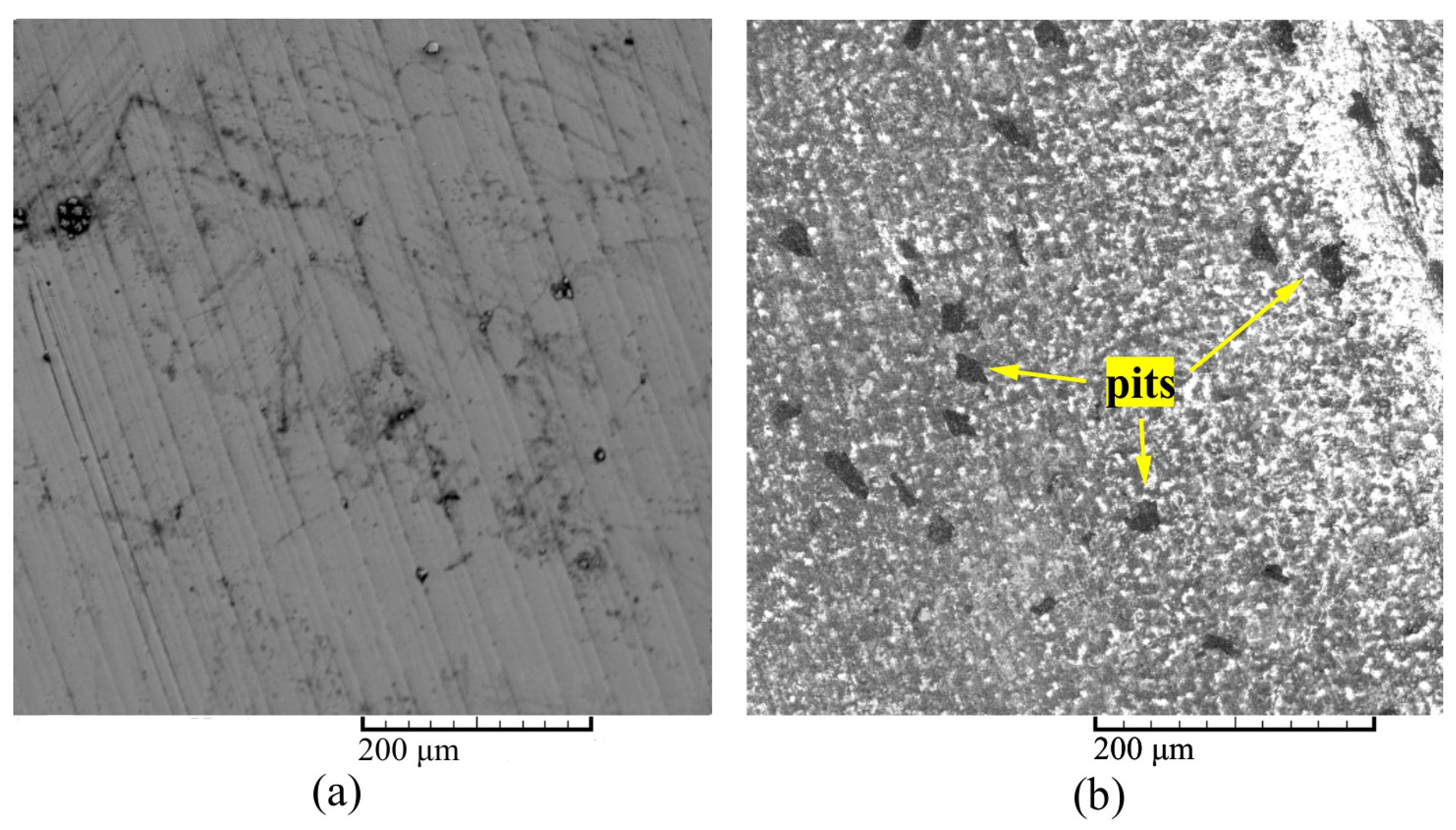 Lubricants 11 00325 g006