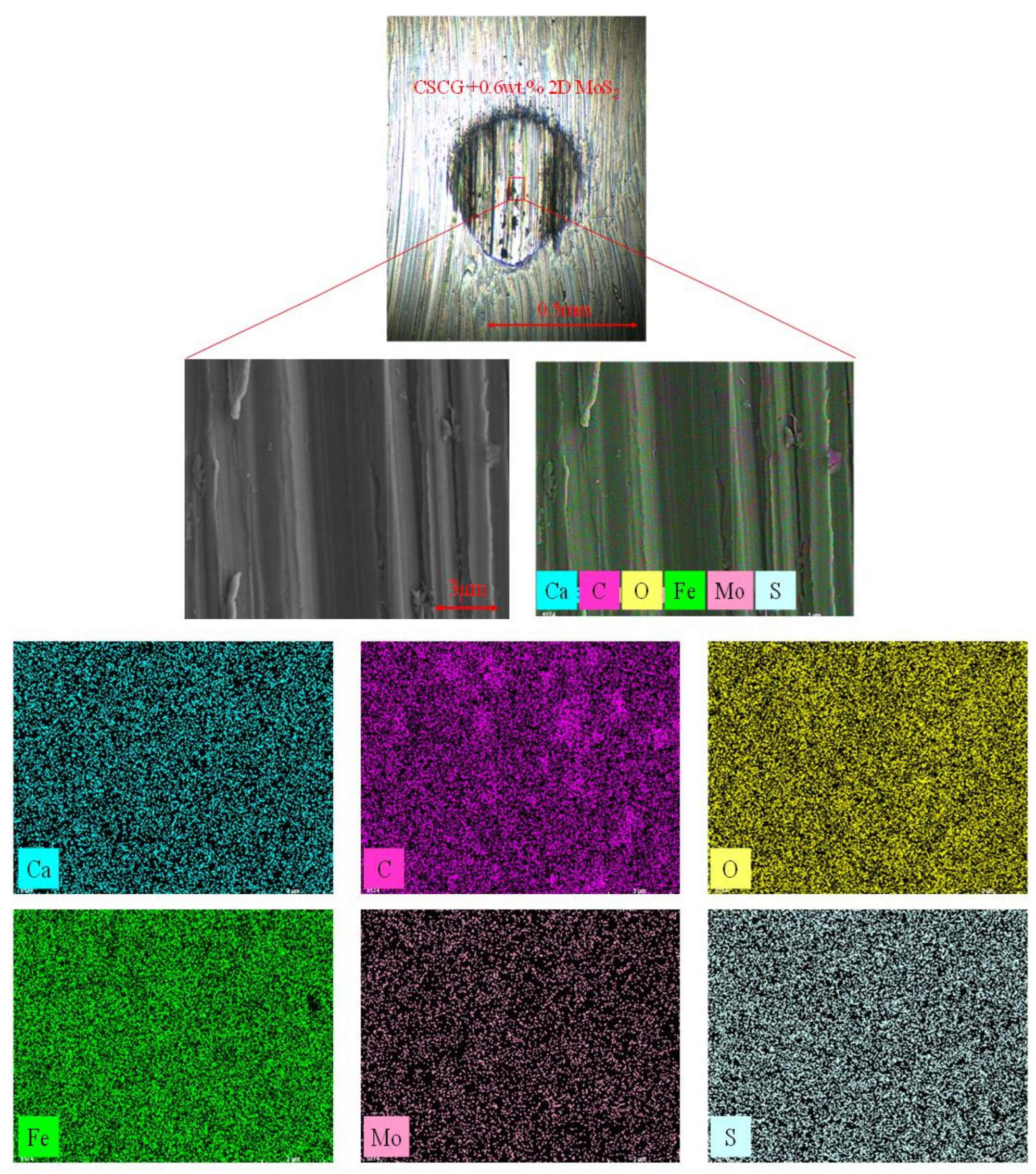 Lubricants 11 00336 g008
