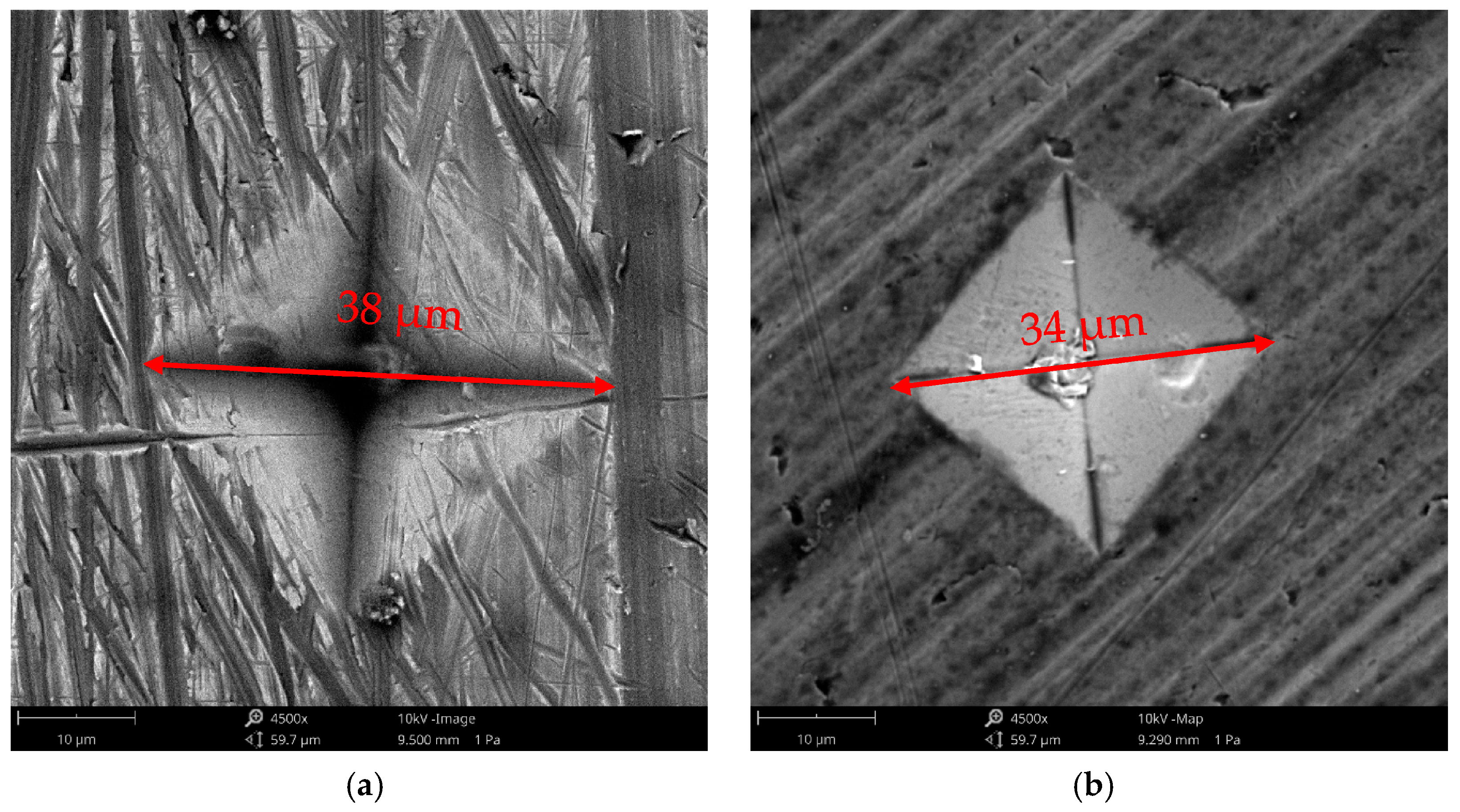 Lubricants 11 00341 g004 Lubricants 11 00341 g004