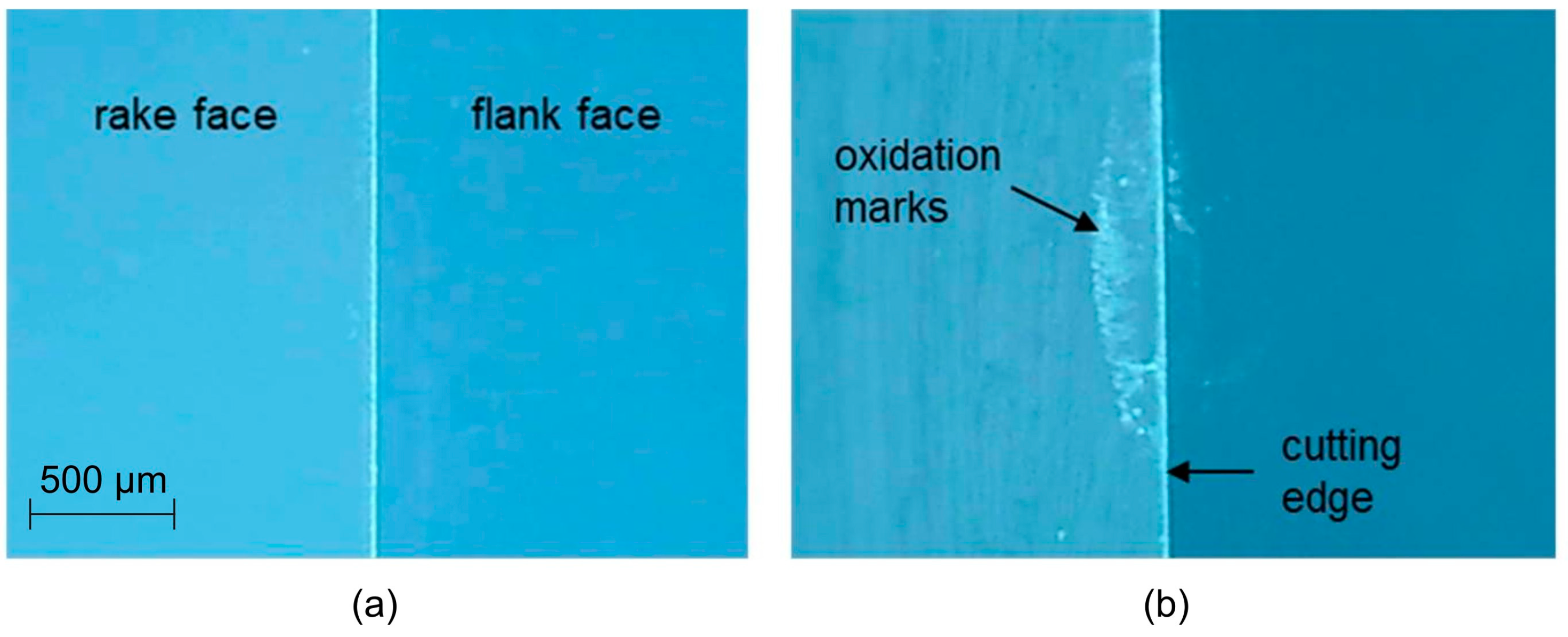 Lubricants 11 00342 g007 550
