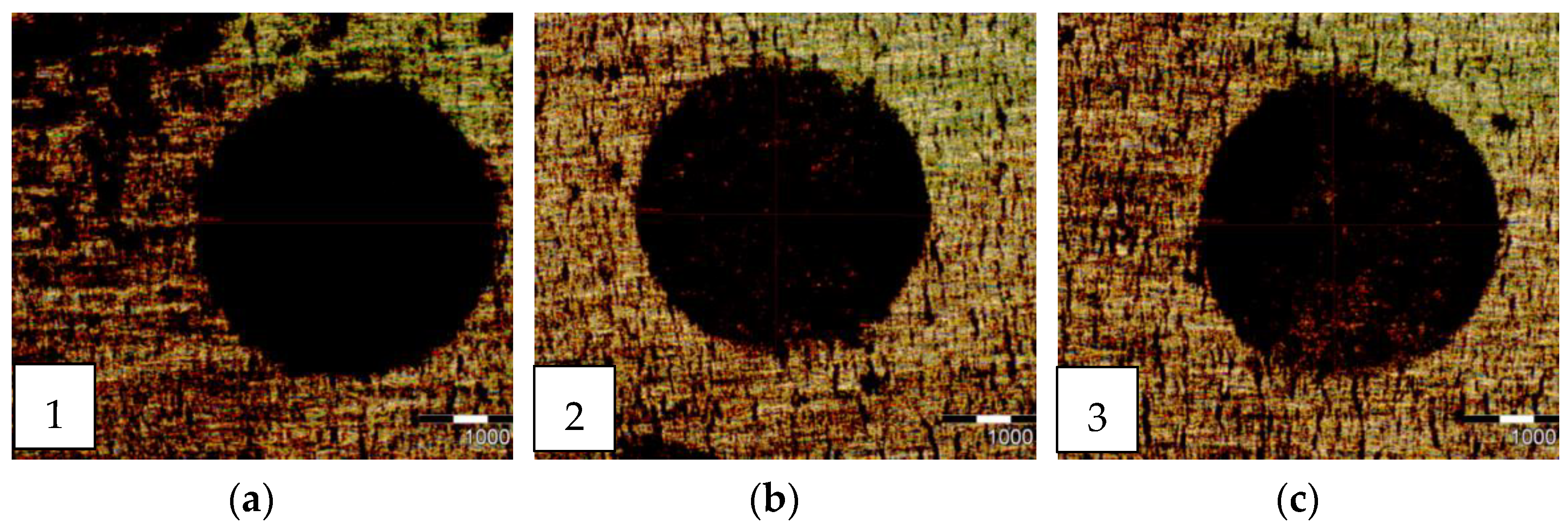 Lubricants 11 00350 g006