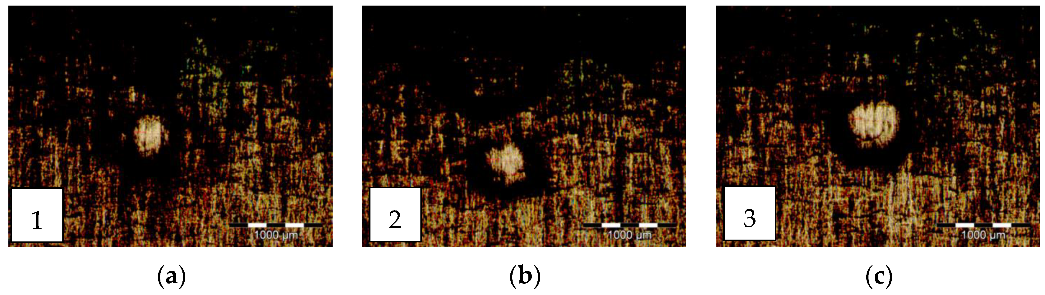Lubricants 11 00350 g007