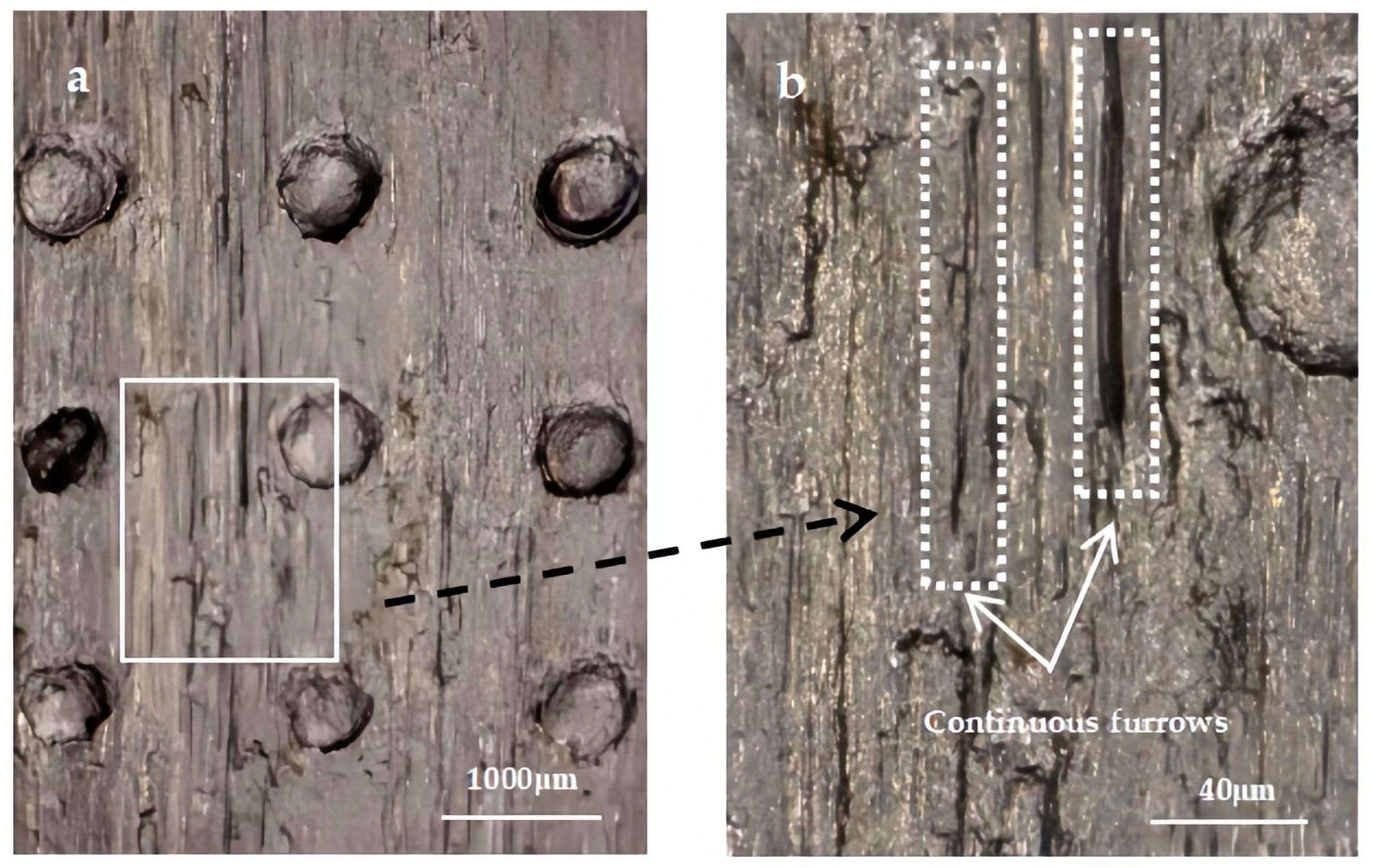 Lubricants 11 00353 g011