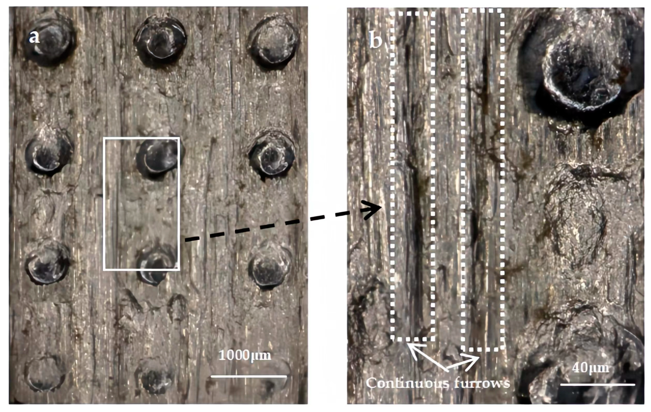 Lubricants 11 00353 g012