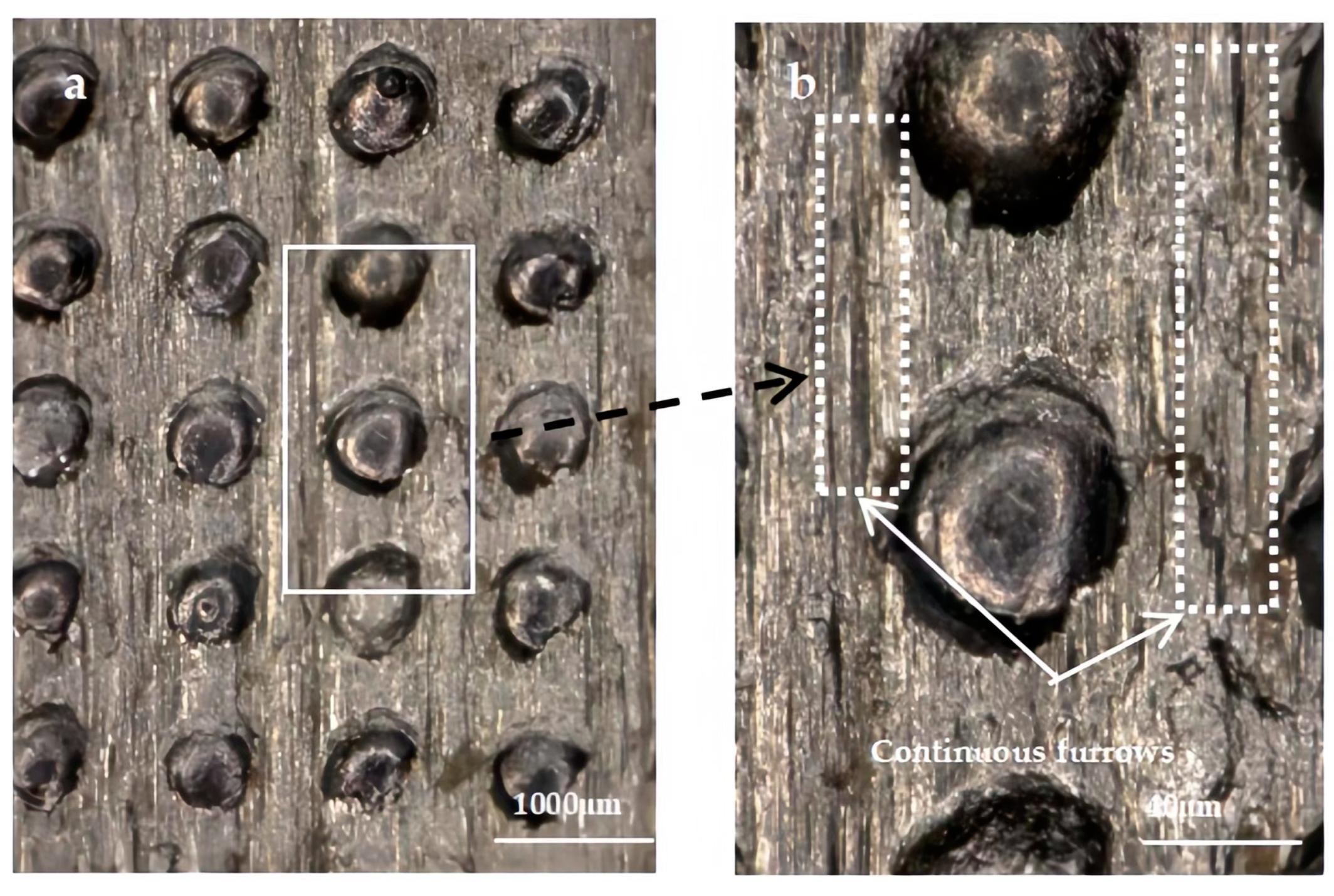 Lubricants 11 00353 g013
