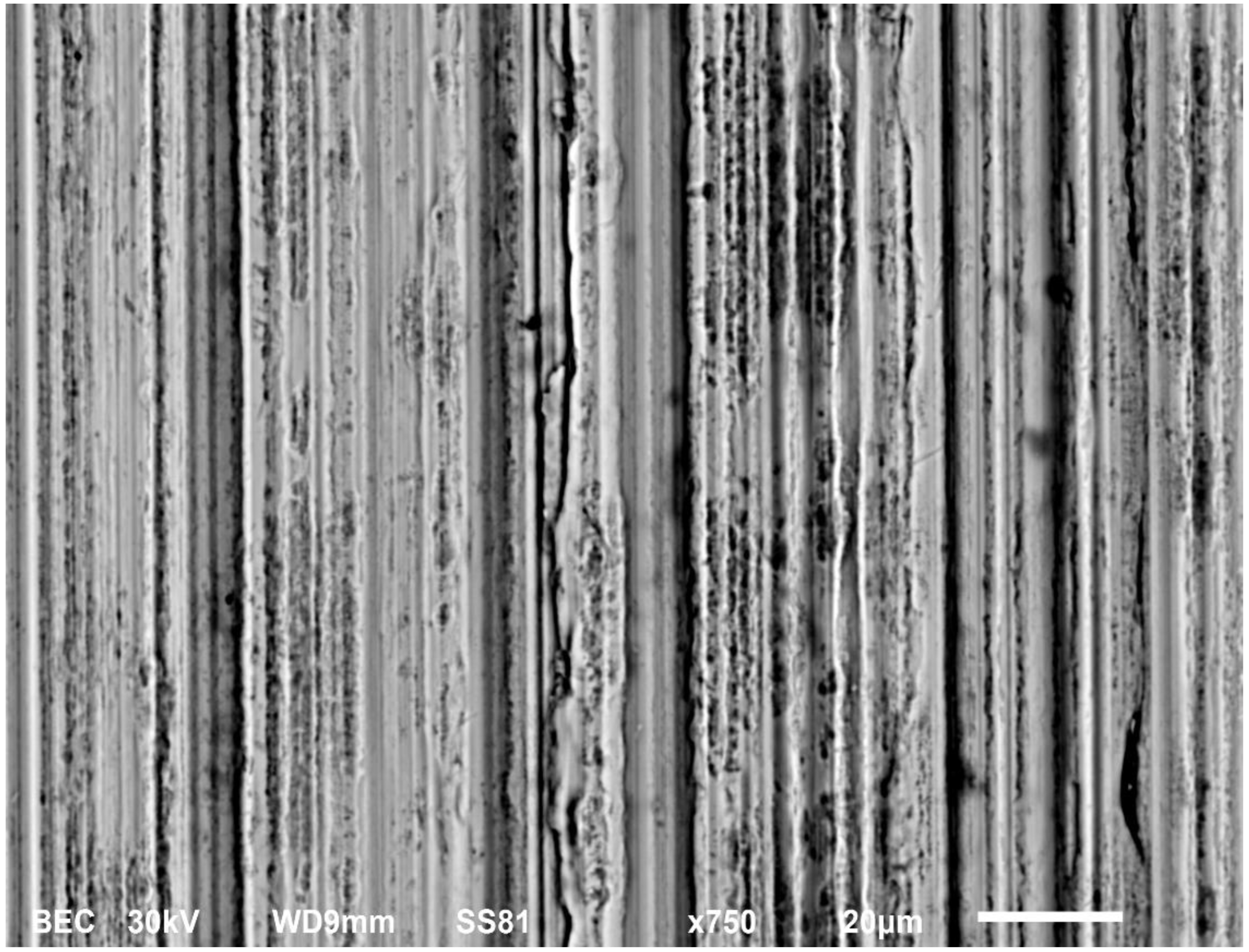 Lubricants 11 00354 g010