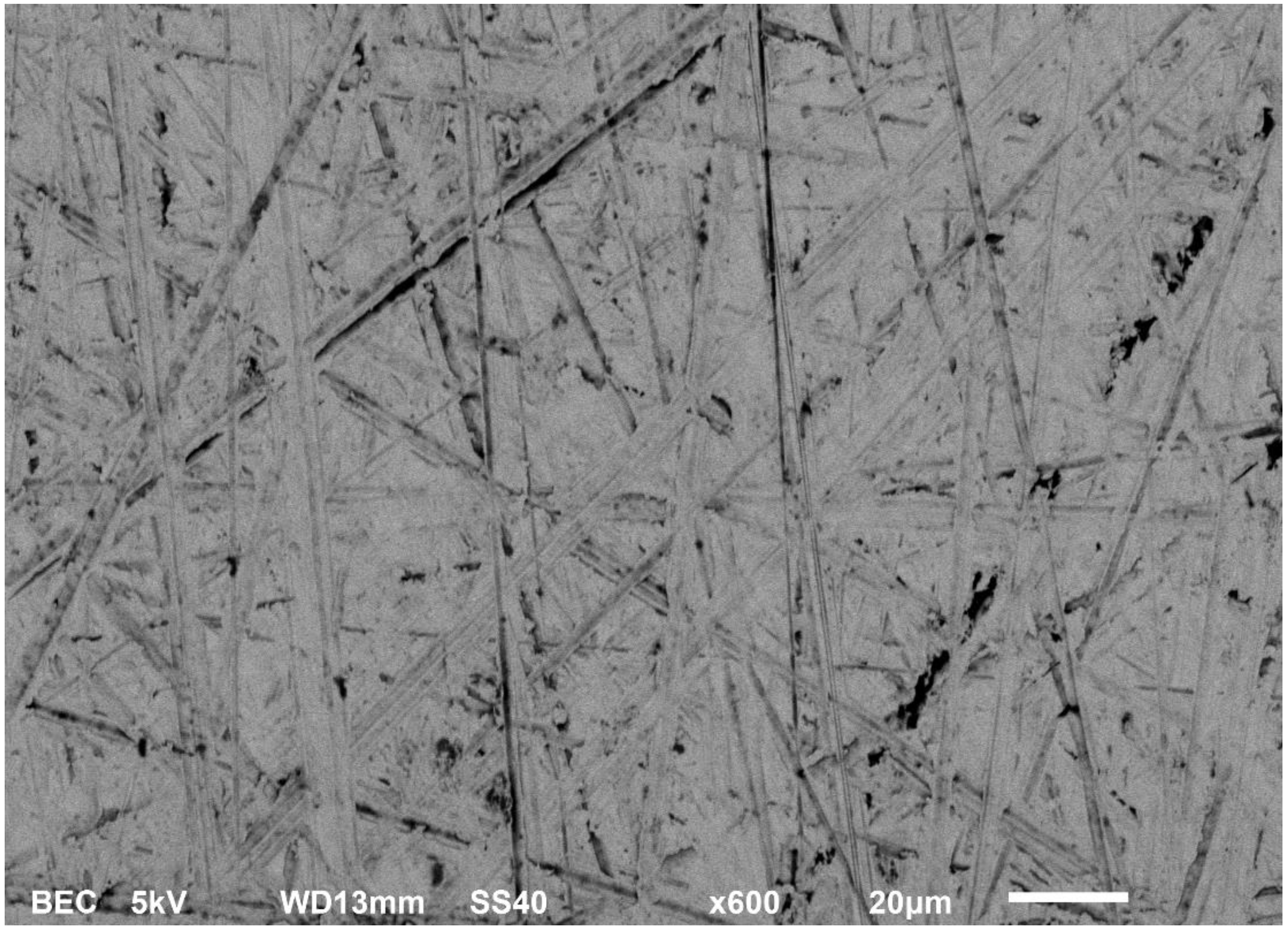 Lubricants 11 00354 g012