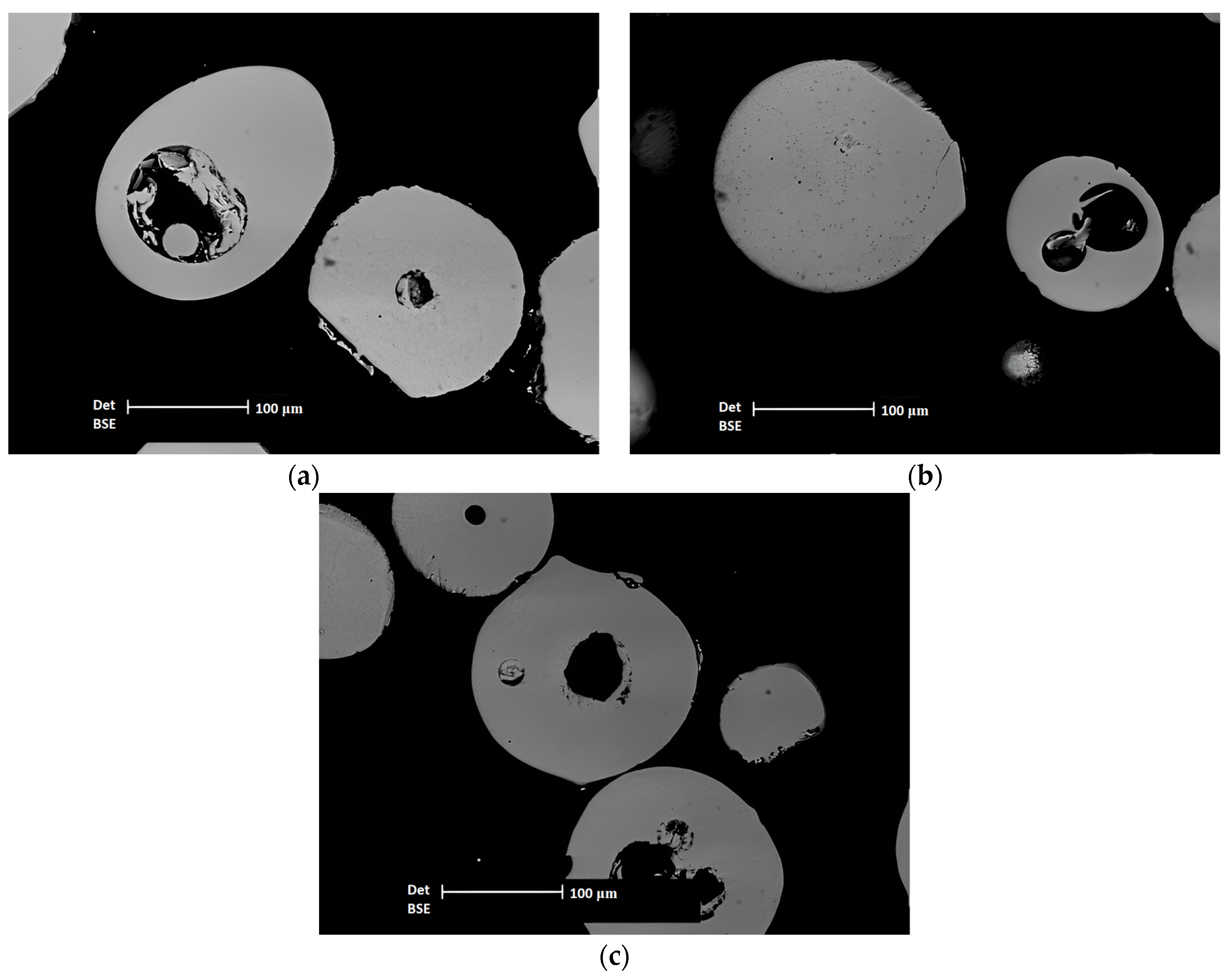 Lubricants 11 00363 g002