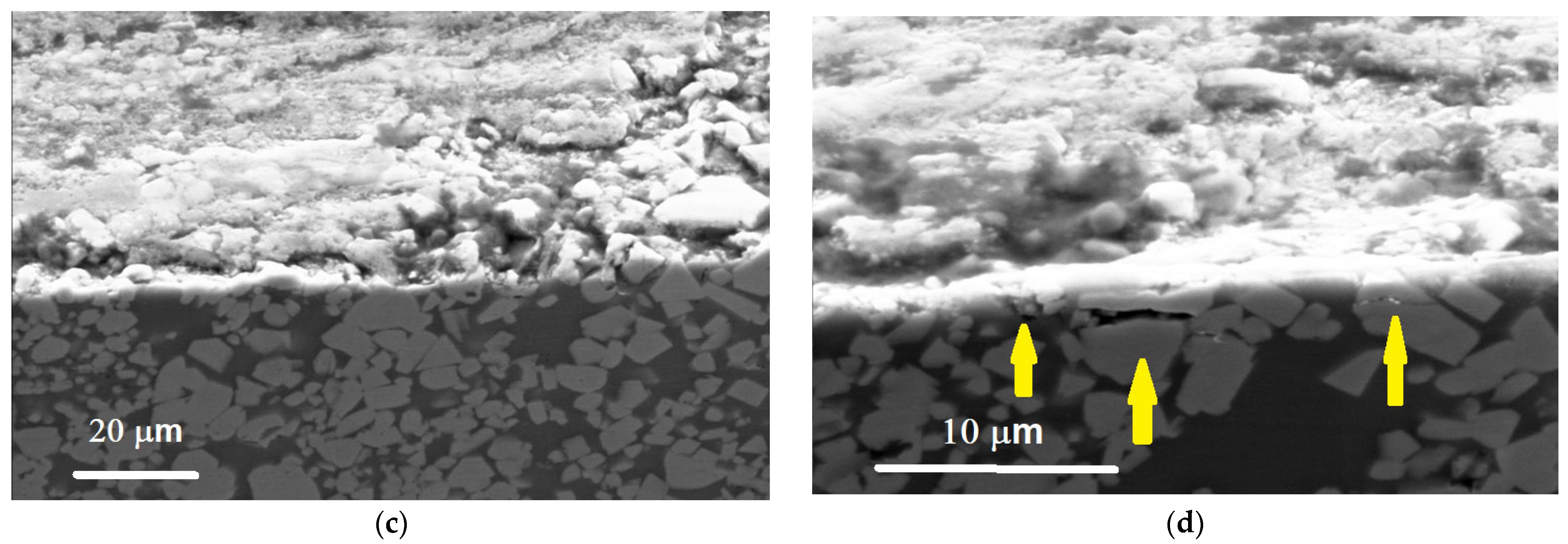 Lubricants 11 00365 g011b