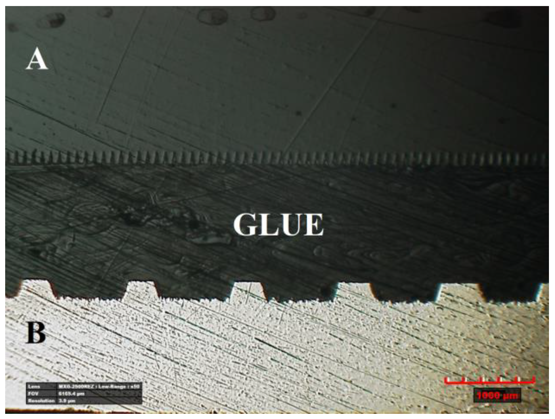 Lubricants 11 00368 g004 Lubricants 11 00368 g004