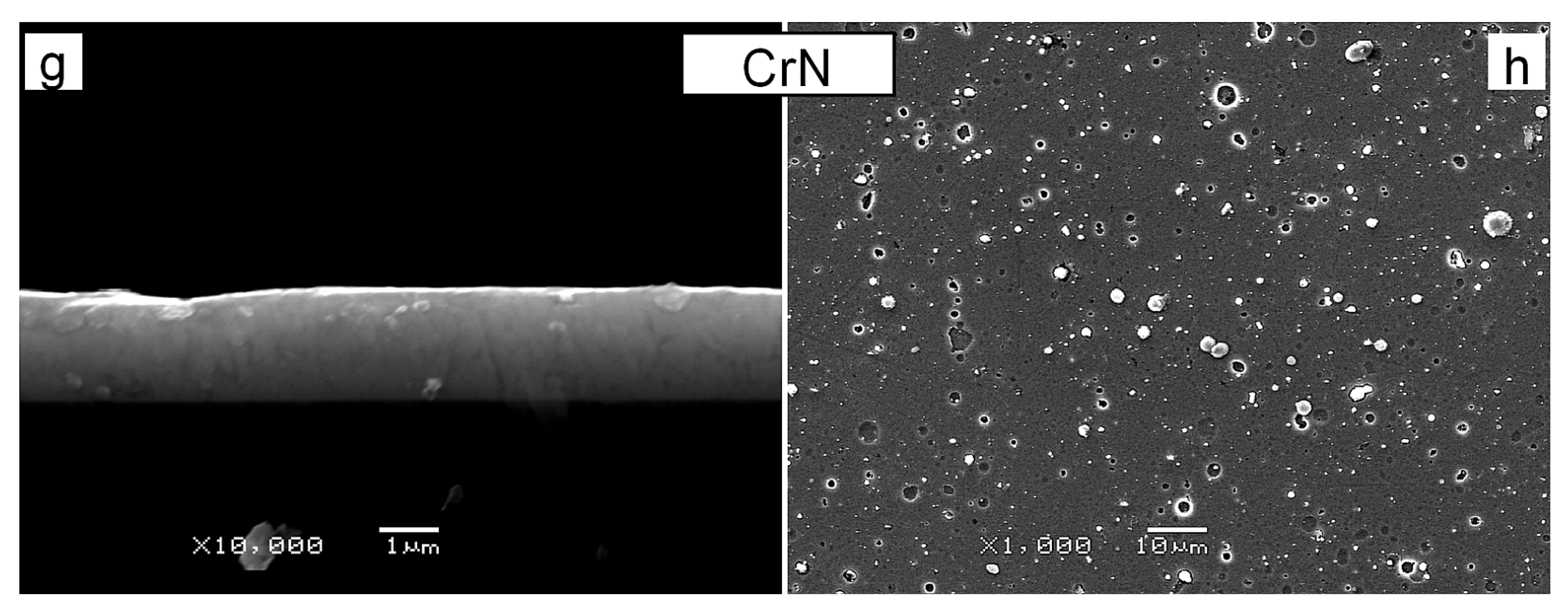 Lubricants 11 00371 g001b