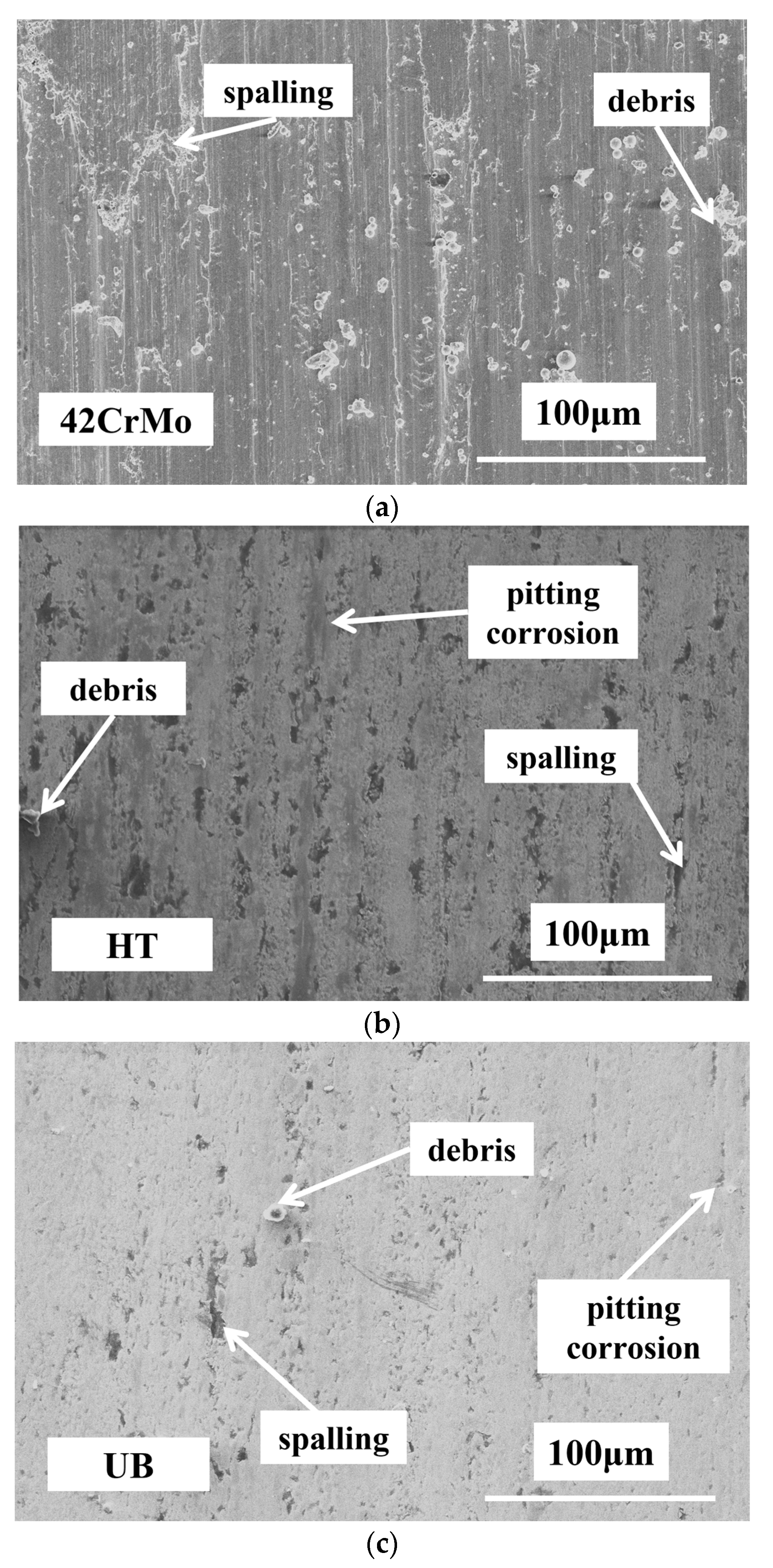 Lubricants 11 00379 g010