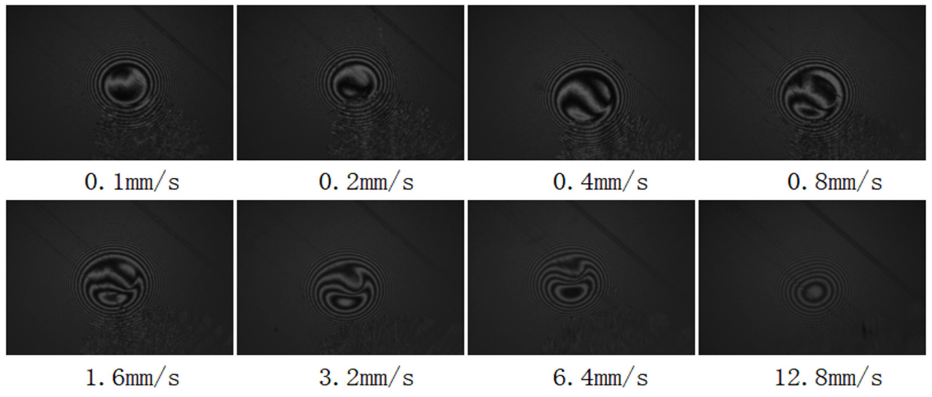 Lubricants 11 00381 g003