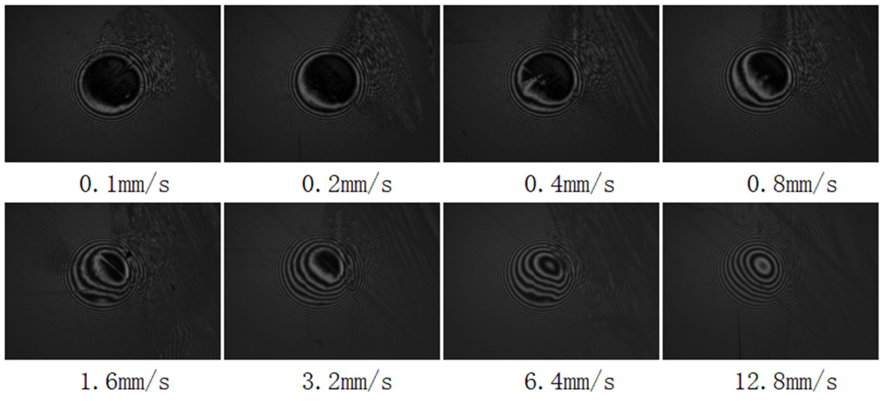Lubricants 11 00381 g005
