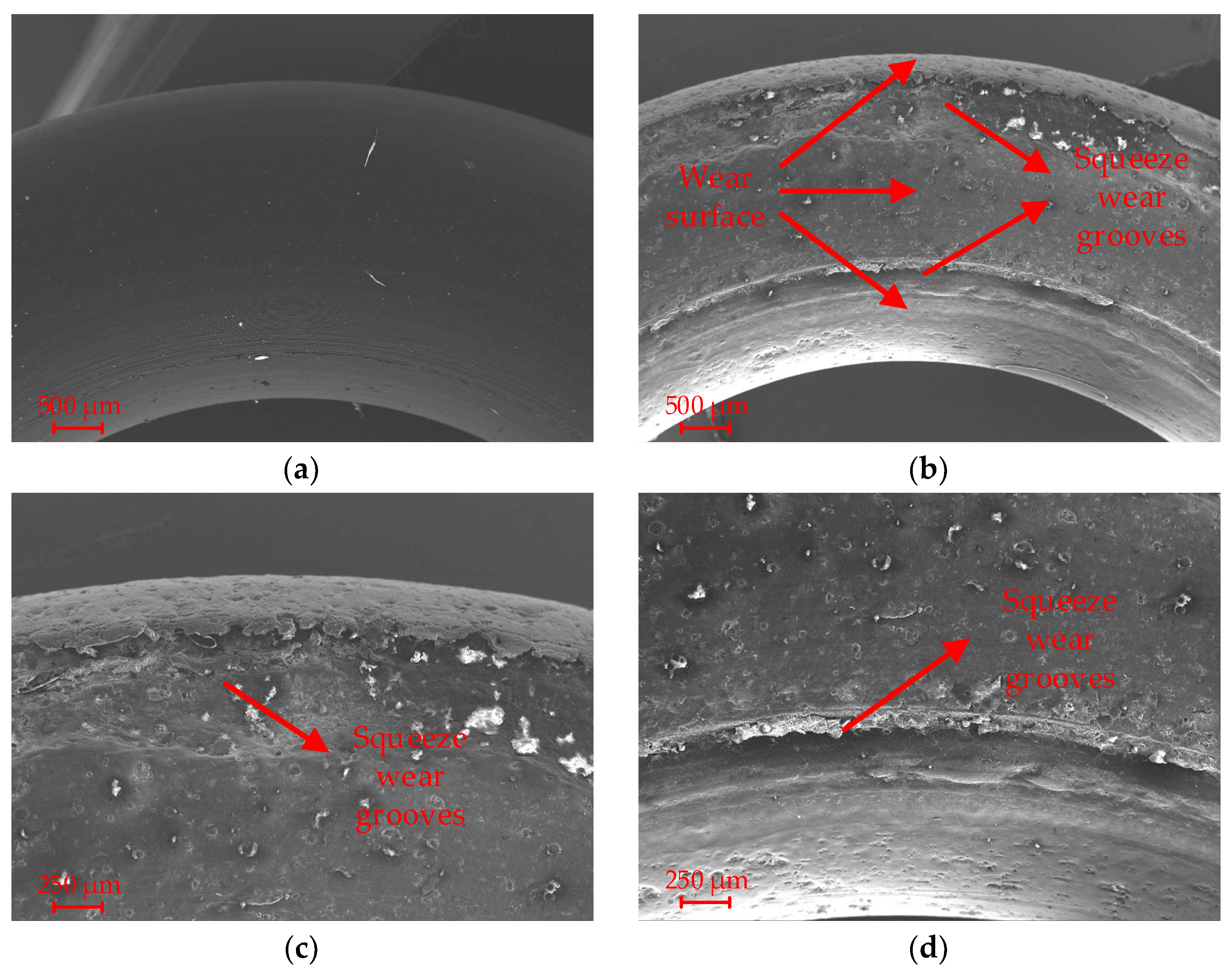 Lubricants 11 00385 g017