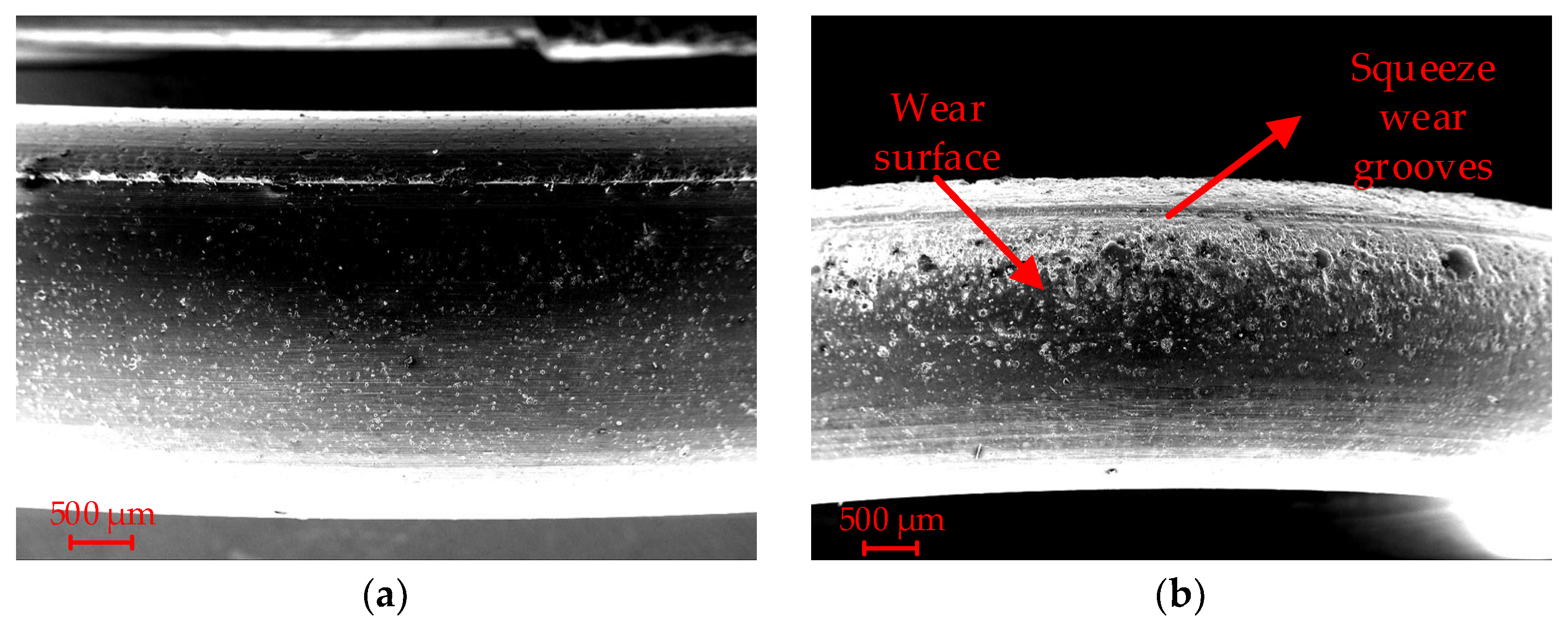 Lubricants 11 00385 g018