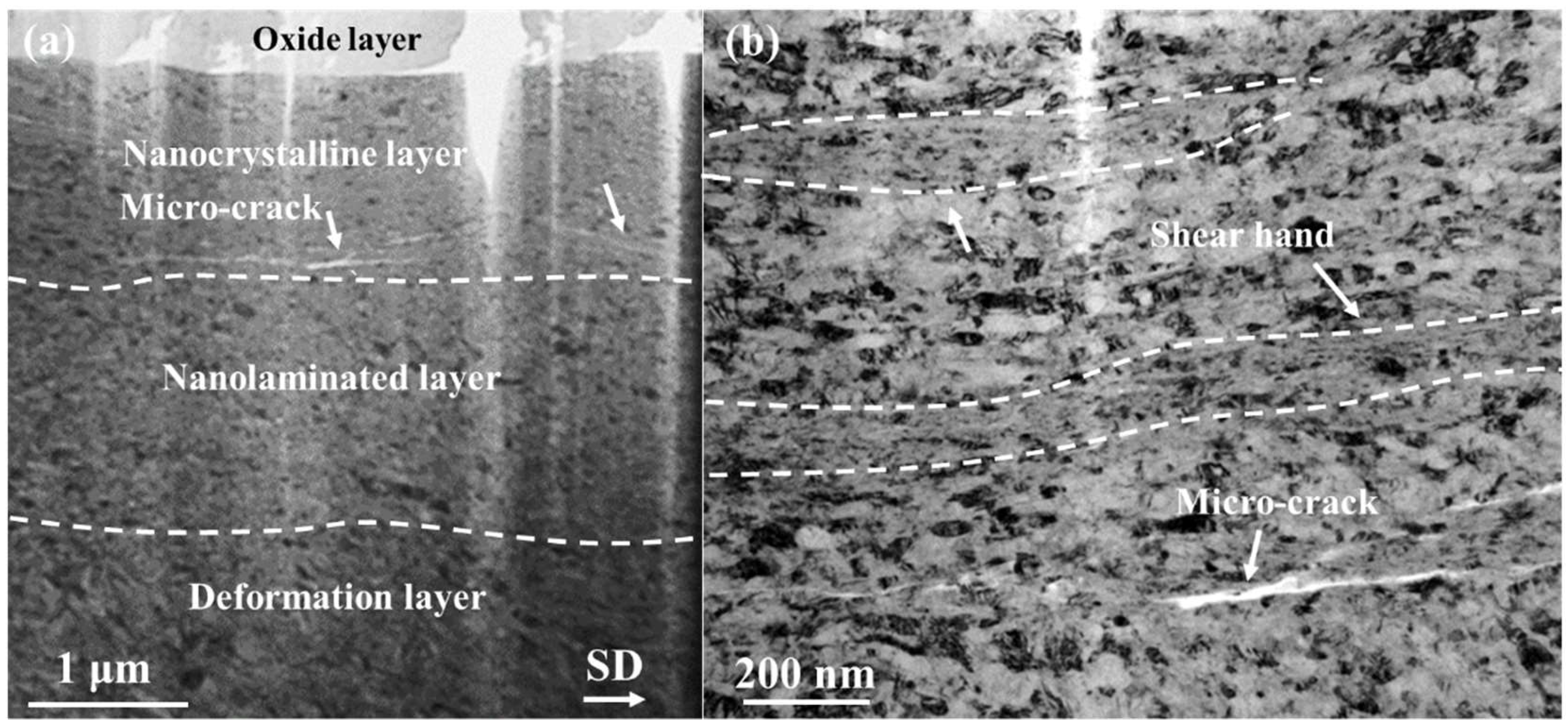 Lubricants 11 00386 g004