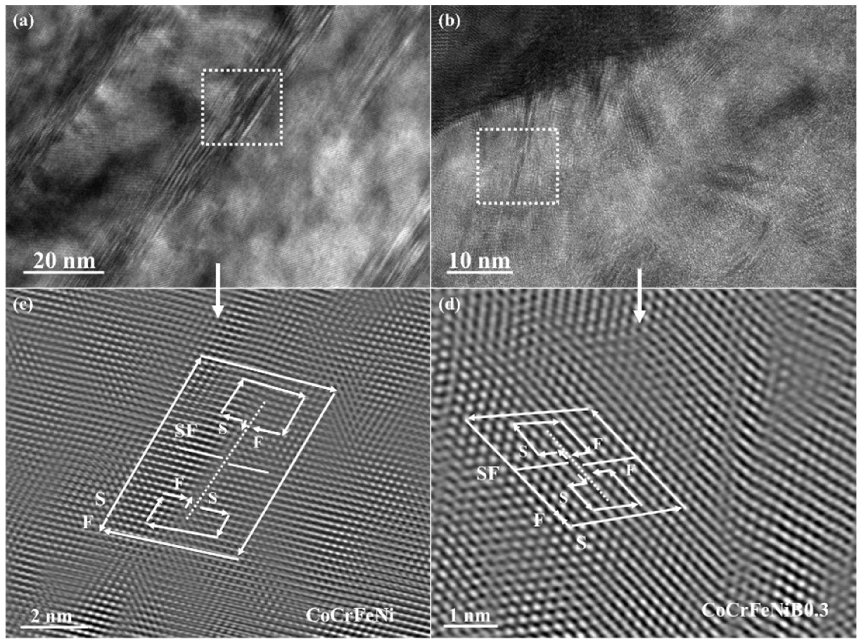 Lubricants 11 00386 g009