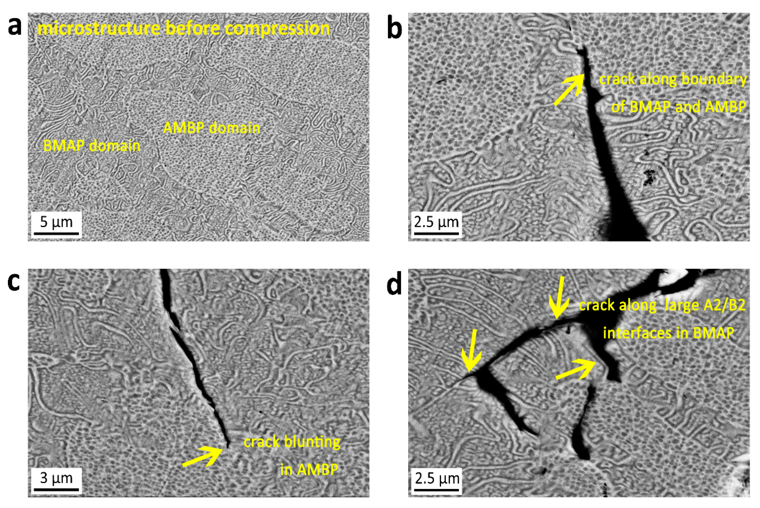 Lubricants 11 00392 g009