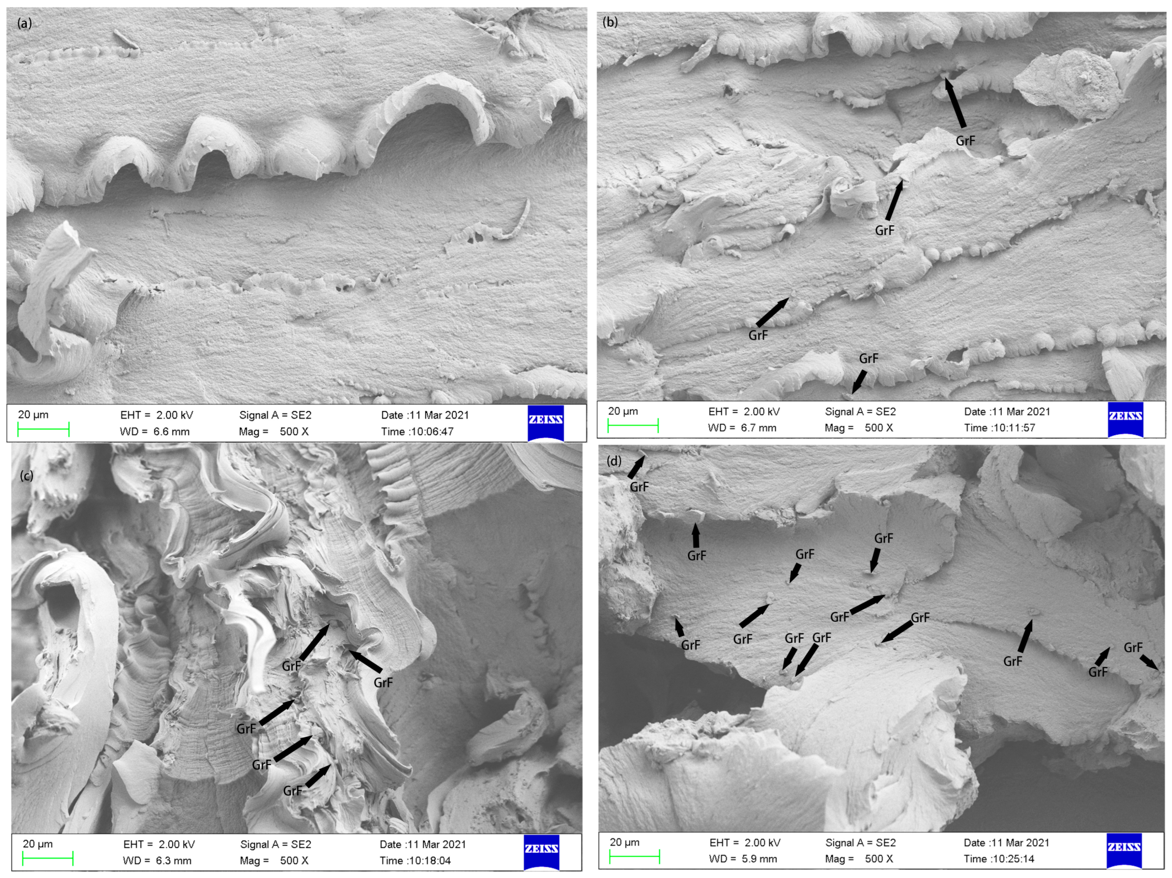 Lubricants 11 00403 g004